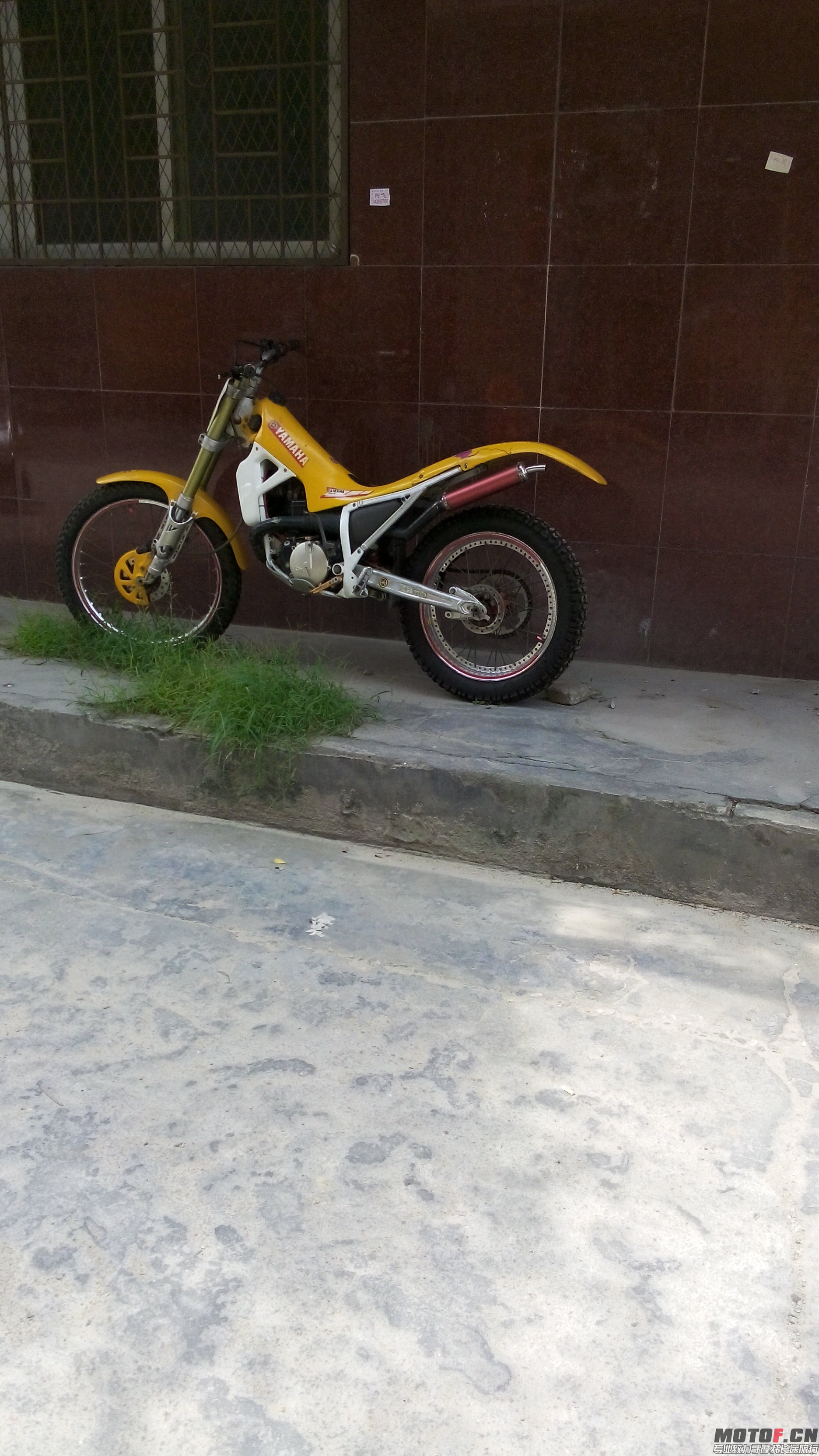 IMG_20140707_114627.jpg