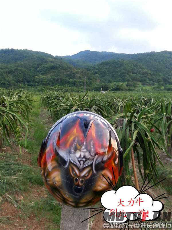 20140712_183042_副本.jpg