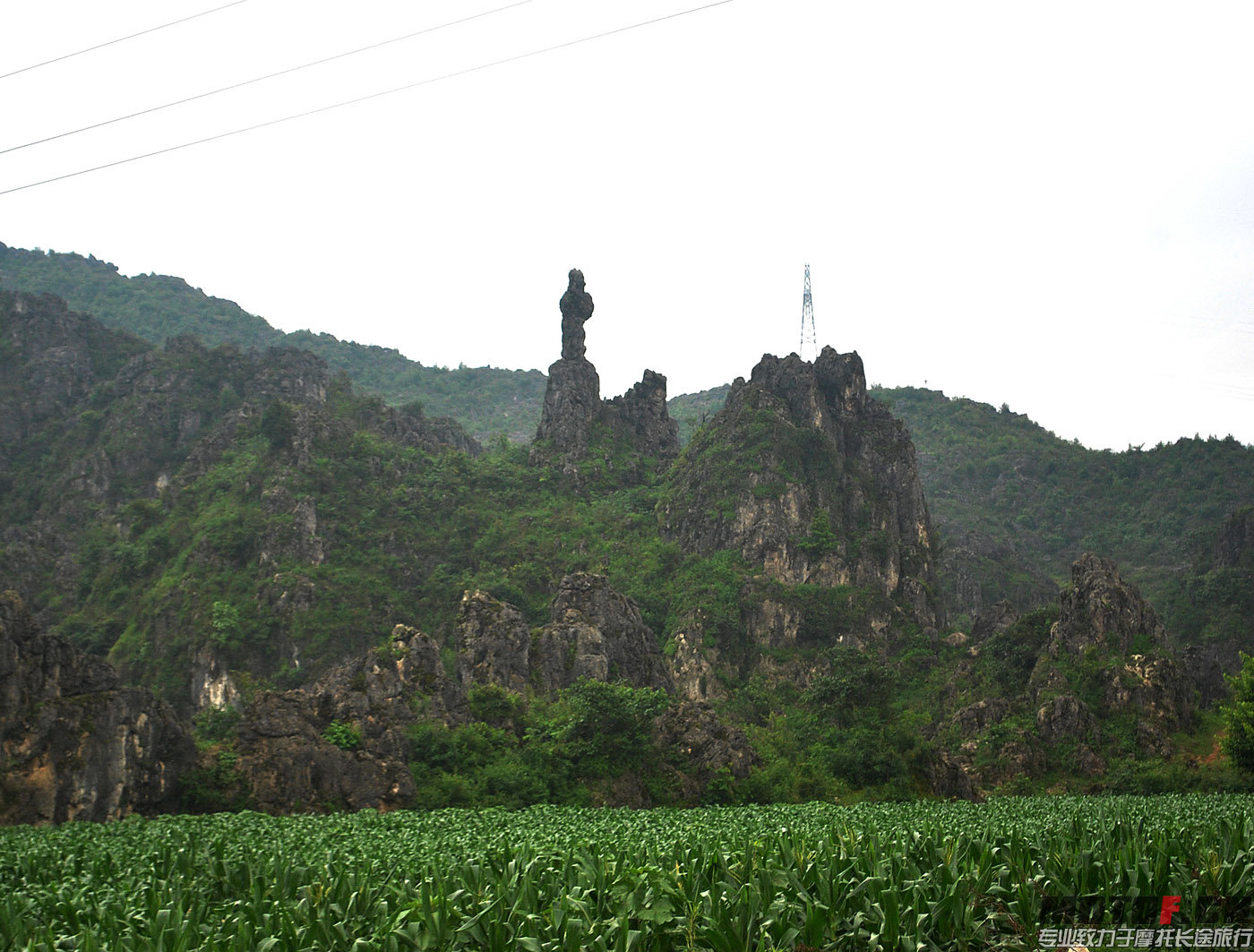 DSC_0175.jpg