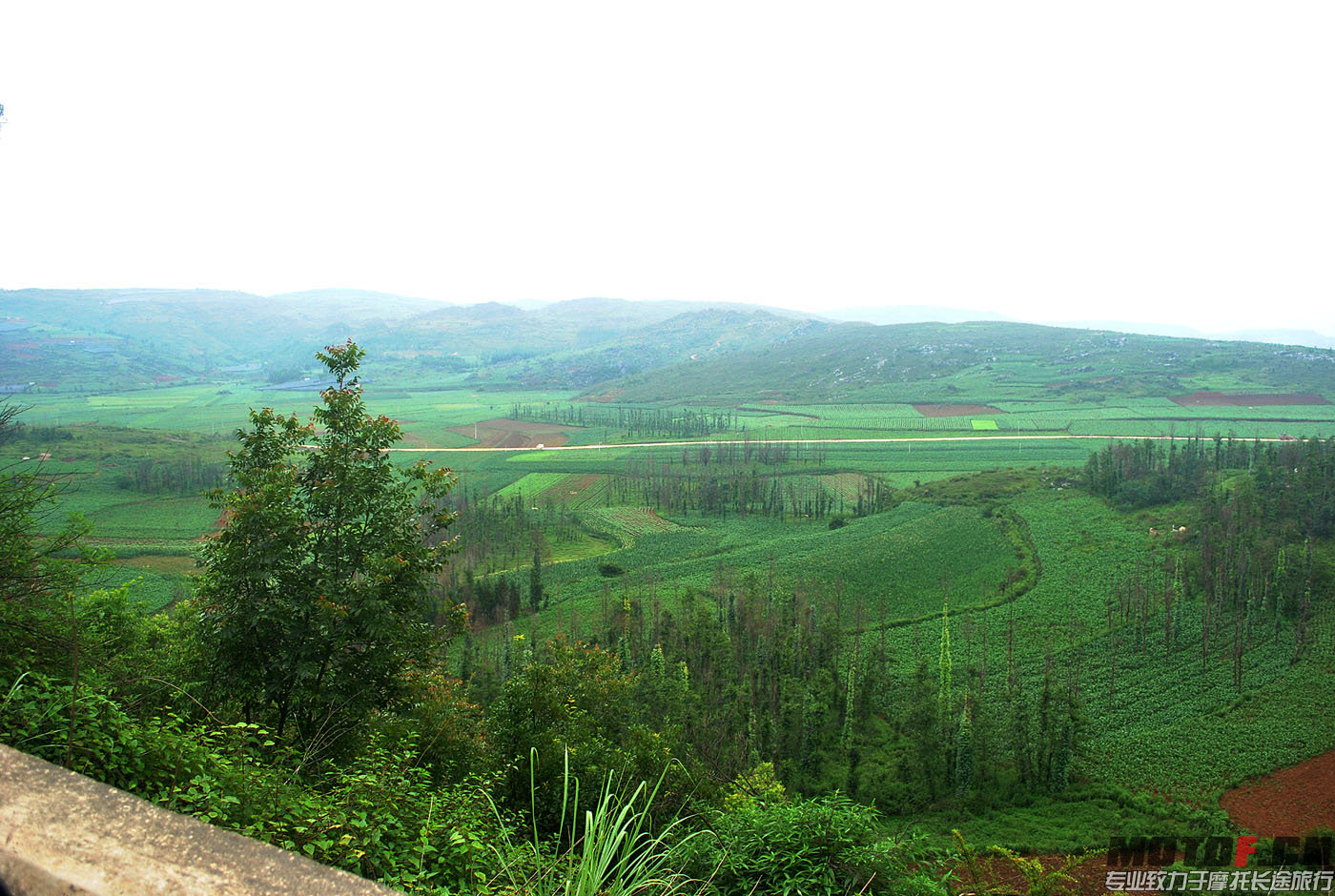 DSC_0173.jpg