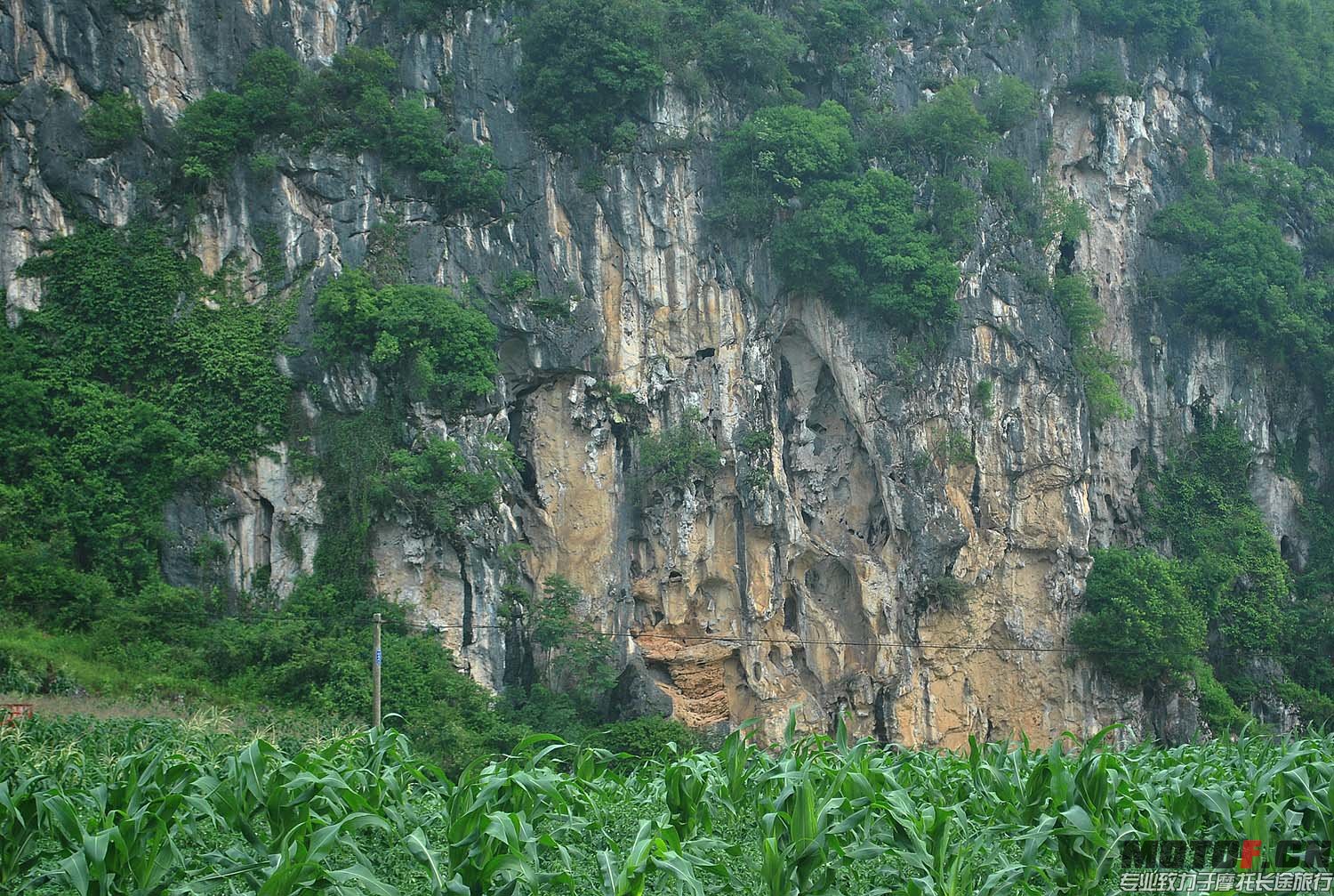 DSC_0119.jpg