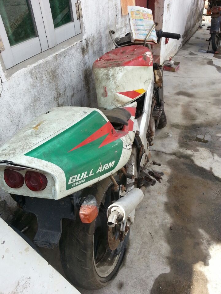 P4.jpg