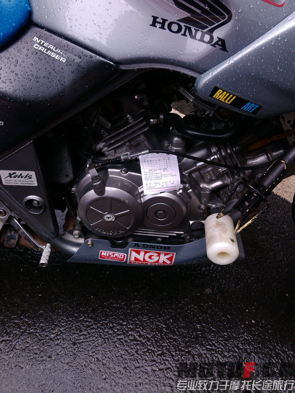 IMG_20140715_110124.jpg