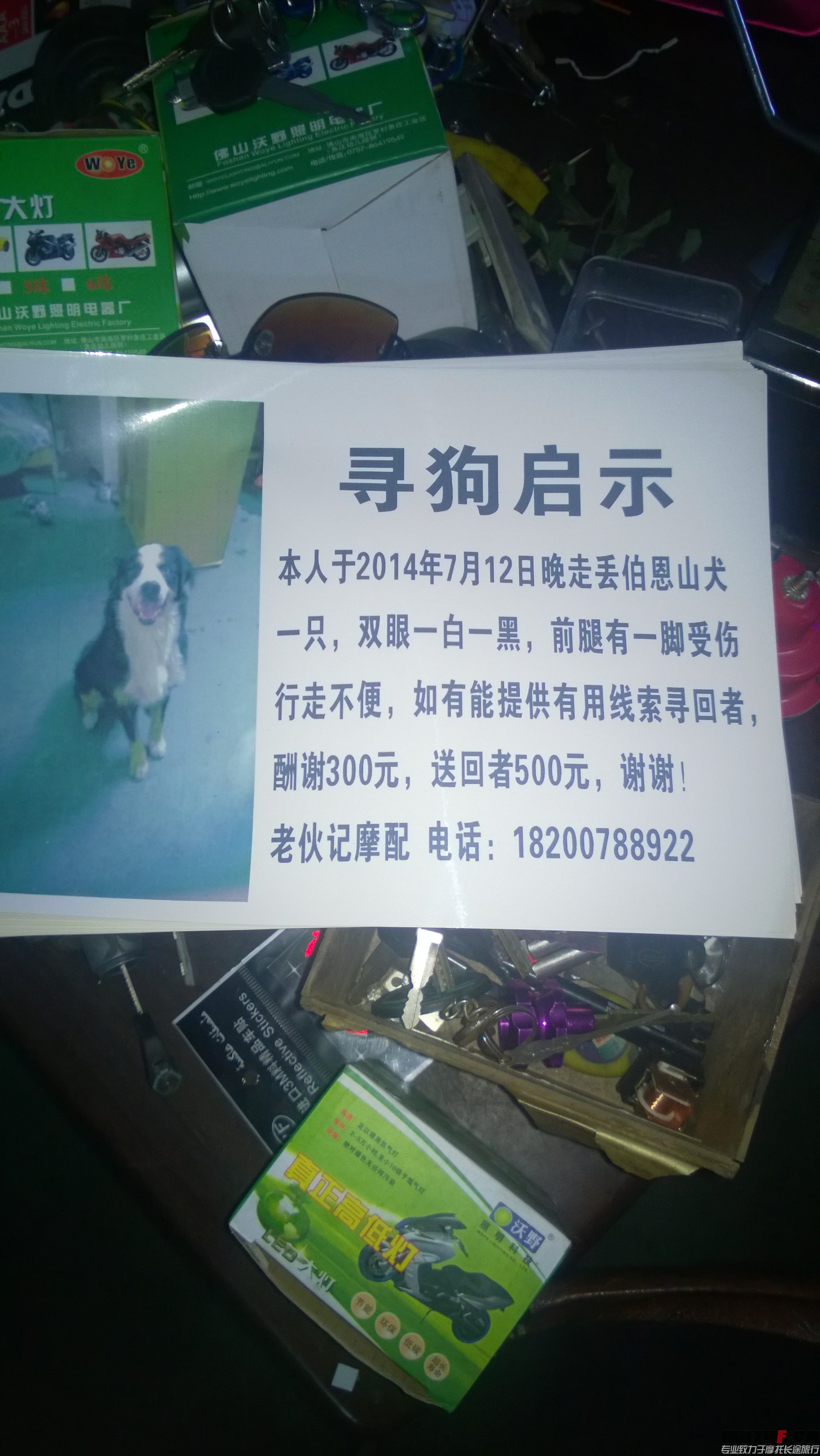 MediaLib_Camera Roll_WP_20140715_009.jpg