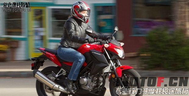 102651ldtx800xizfmx189.jpg