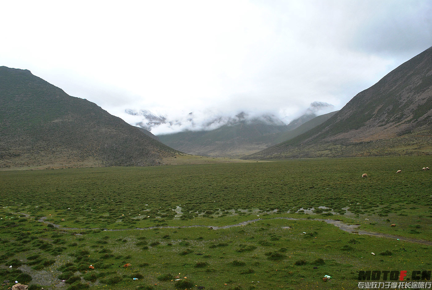 DSC_0419.jpg