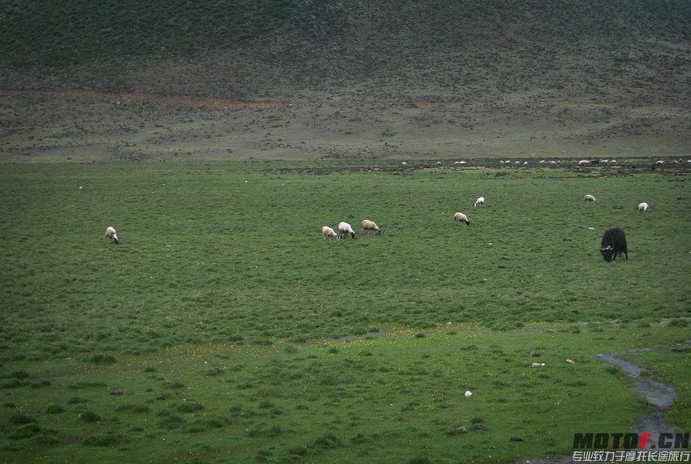 DSC_0414.jpg