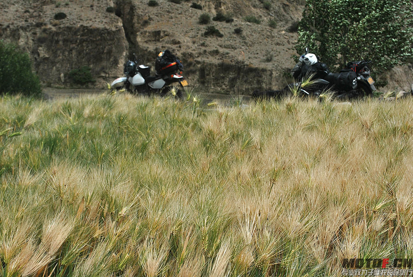 DSC_0396.jpg