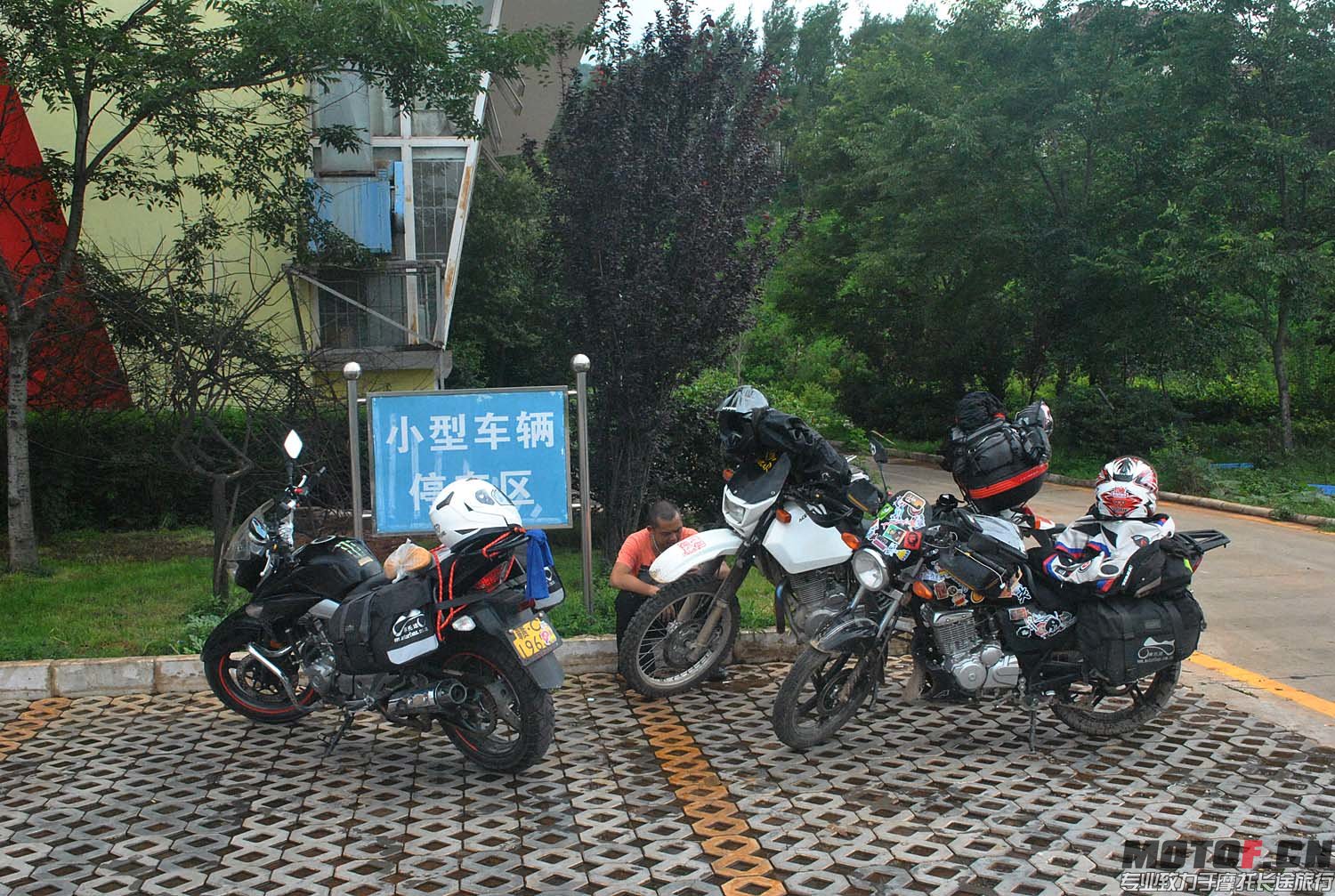 DSC_0224.JPG