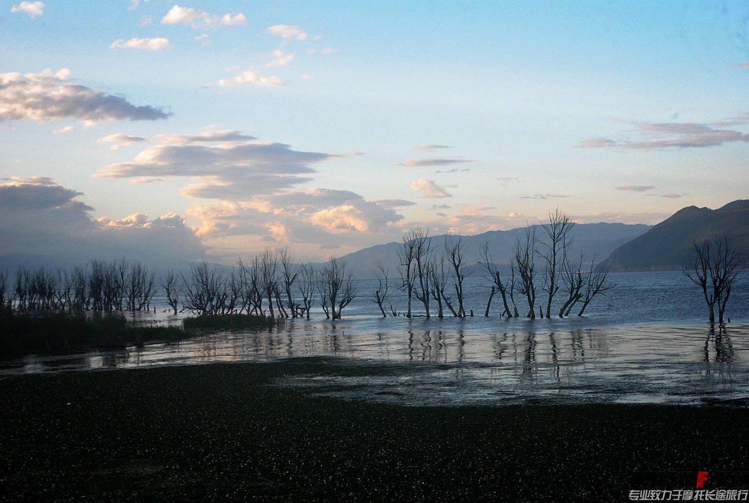 DSC_0233.JPG