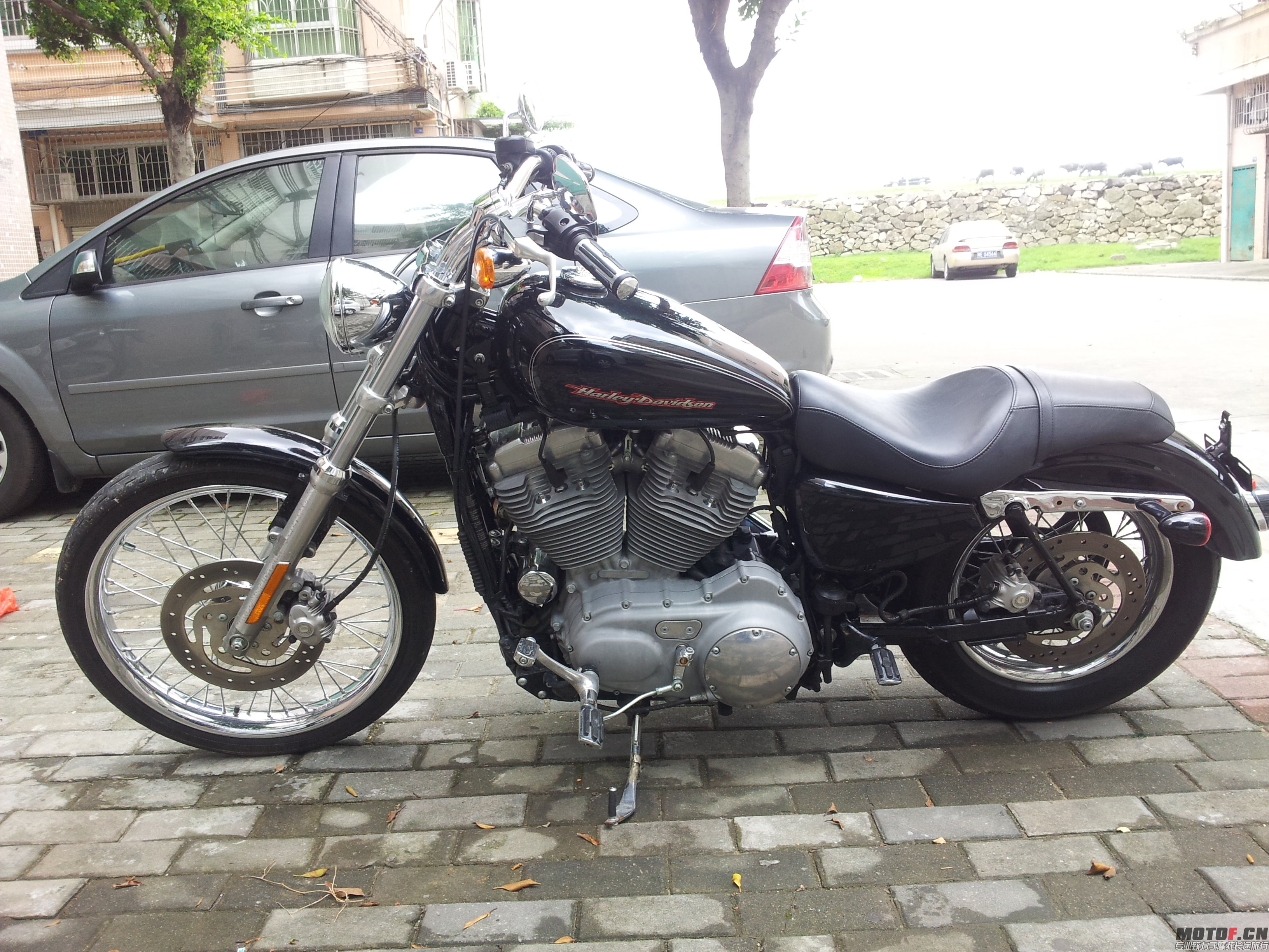 20140720_113323.jpg