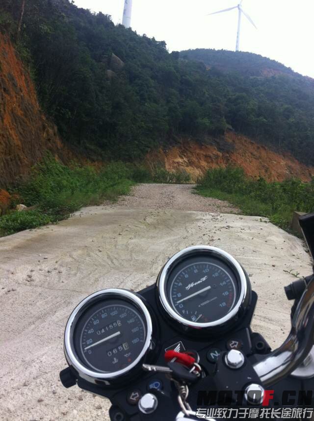 再见了小黄蜂，陪伴左我一年多