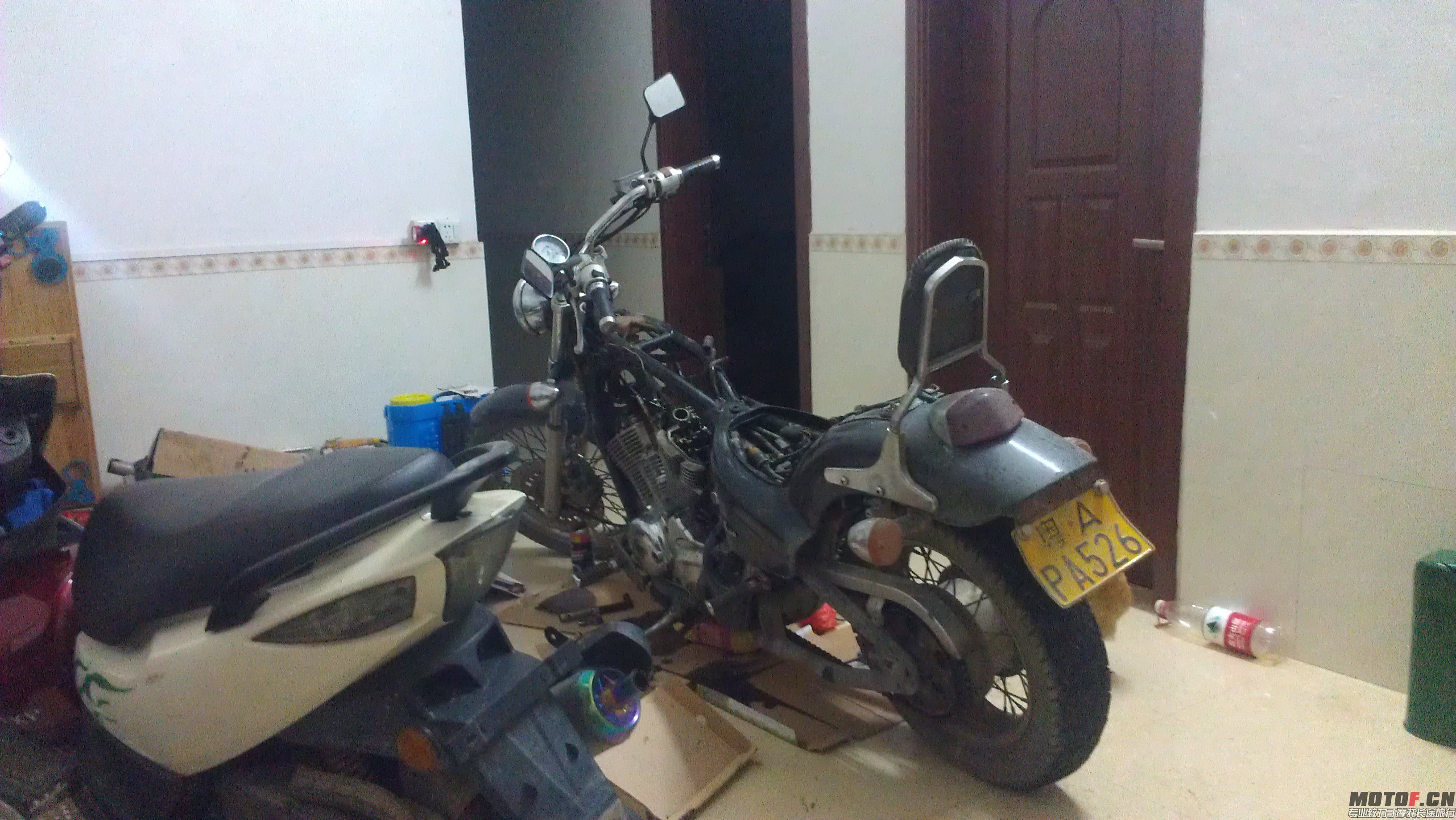 IMAG0741.jpg