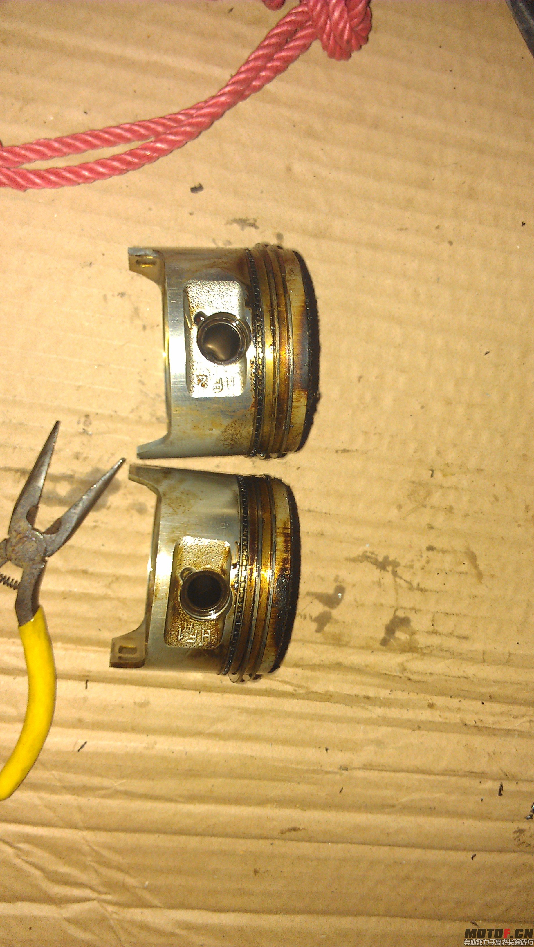 IMAG0753.jpg