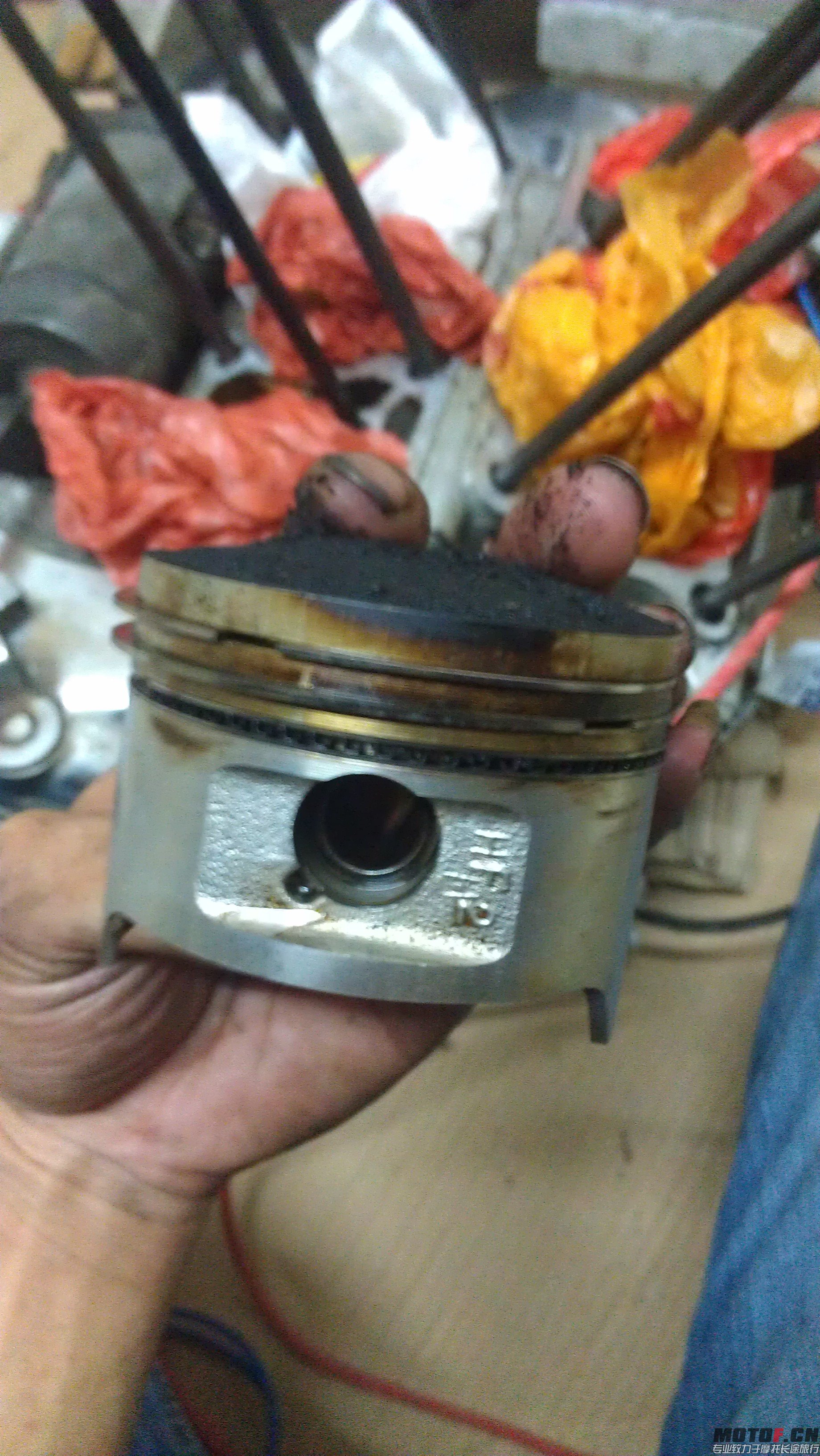 IMAG0755.jpg