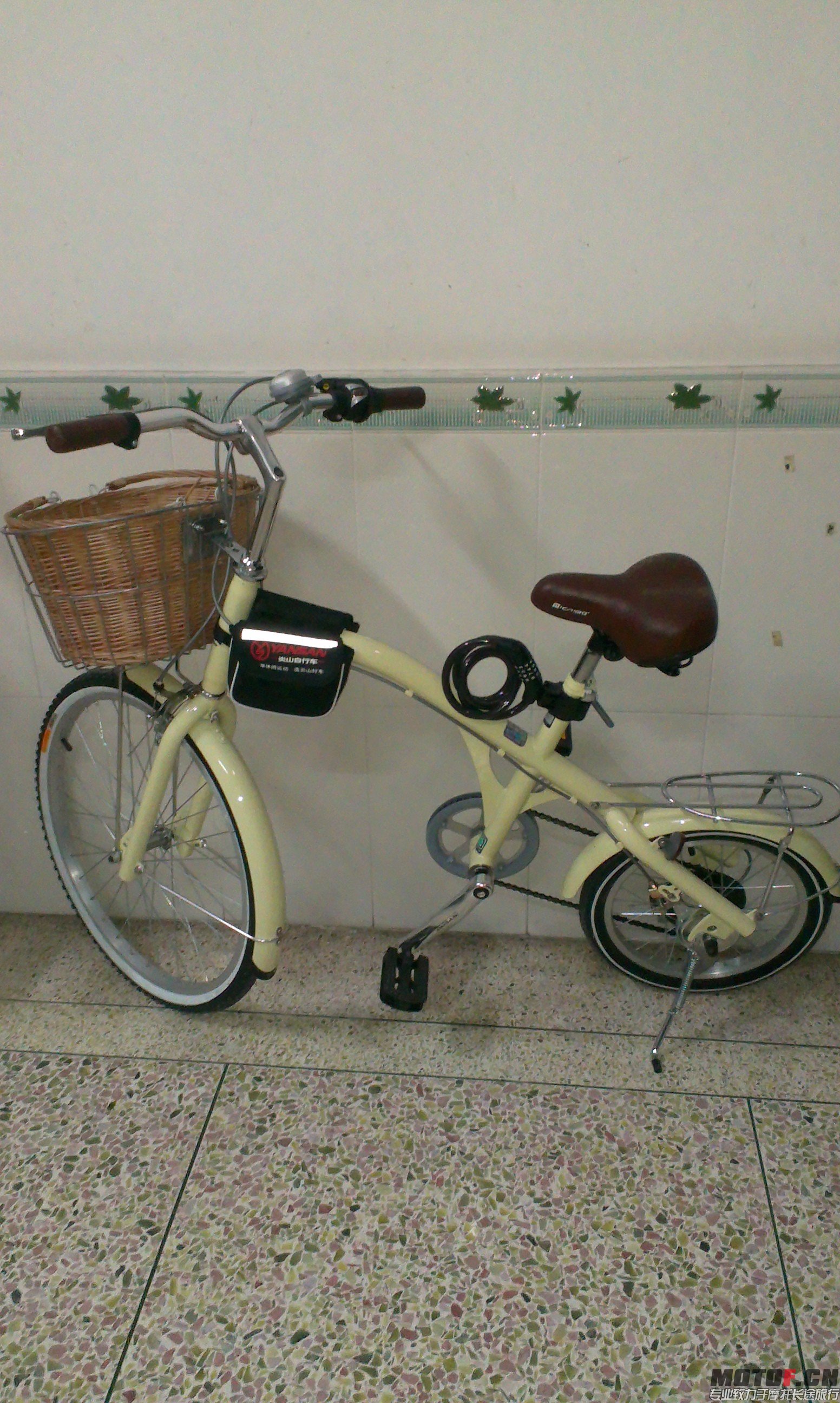 IMAG0320.jpg