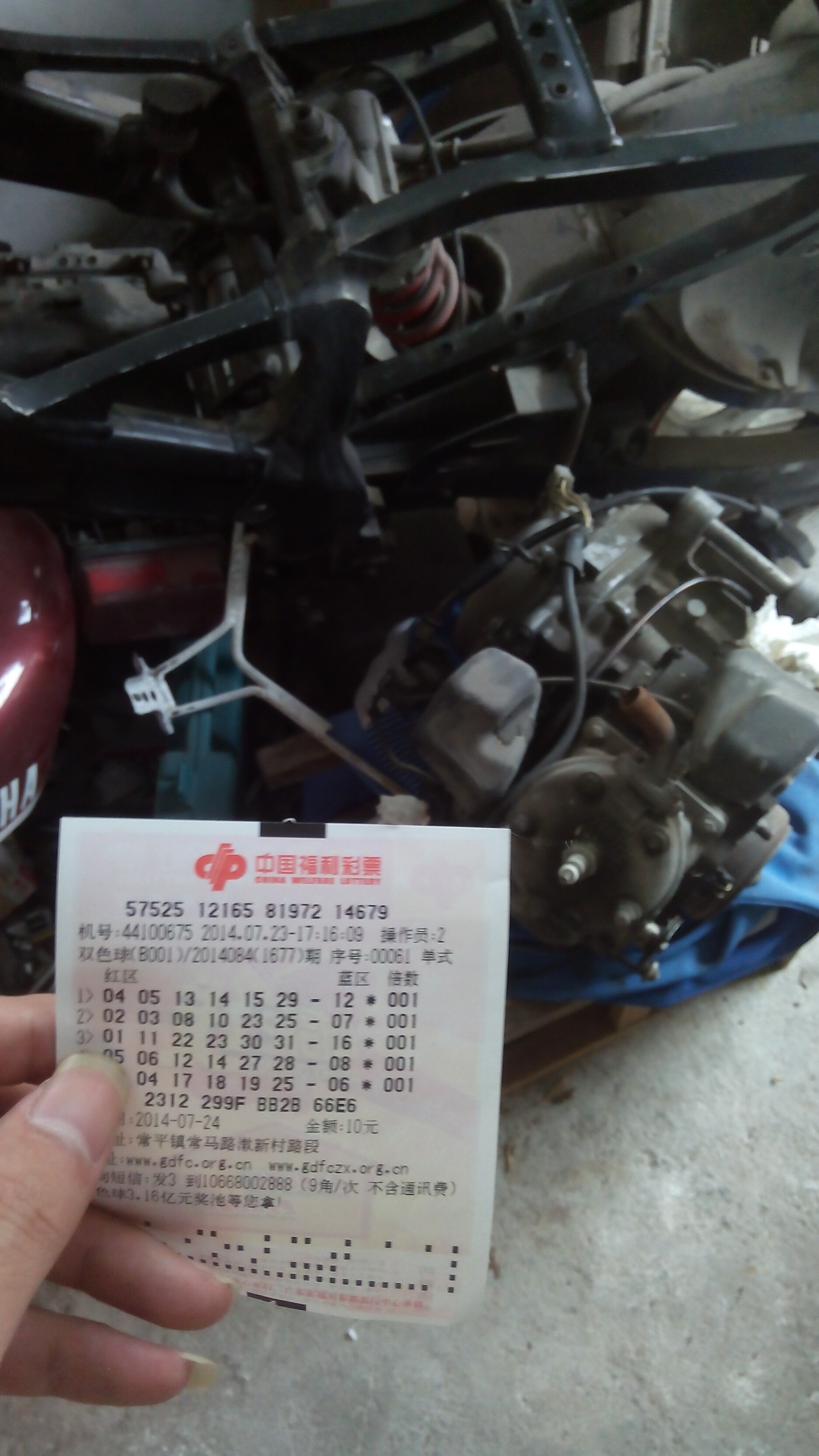 QQ图片20140723173952.jpg
