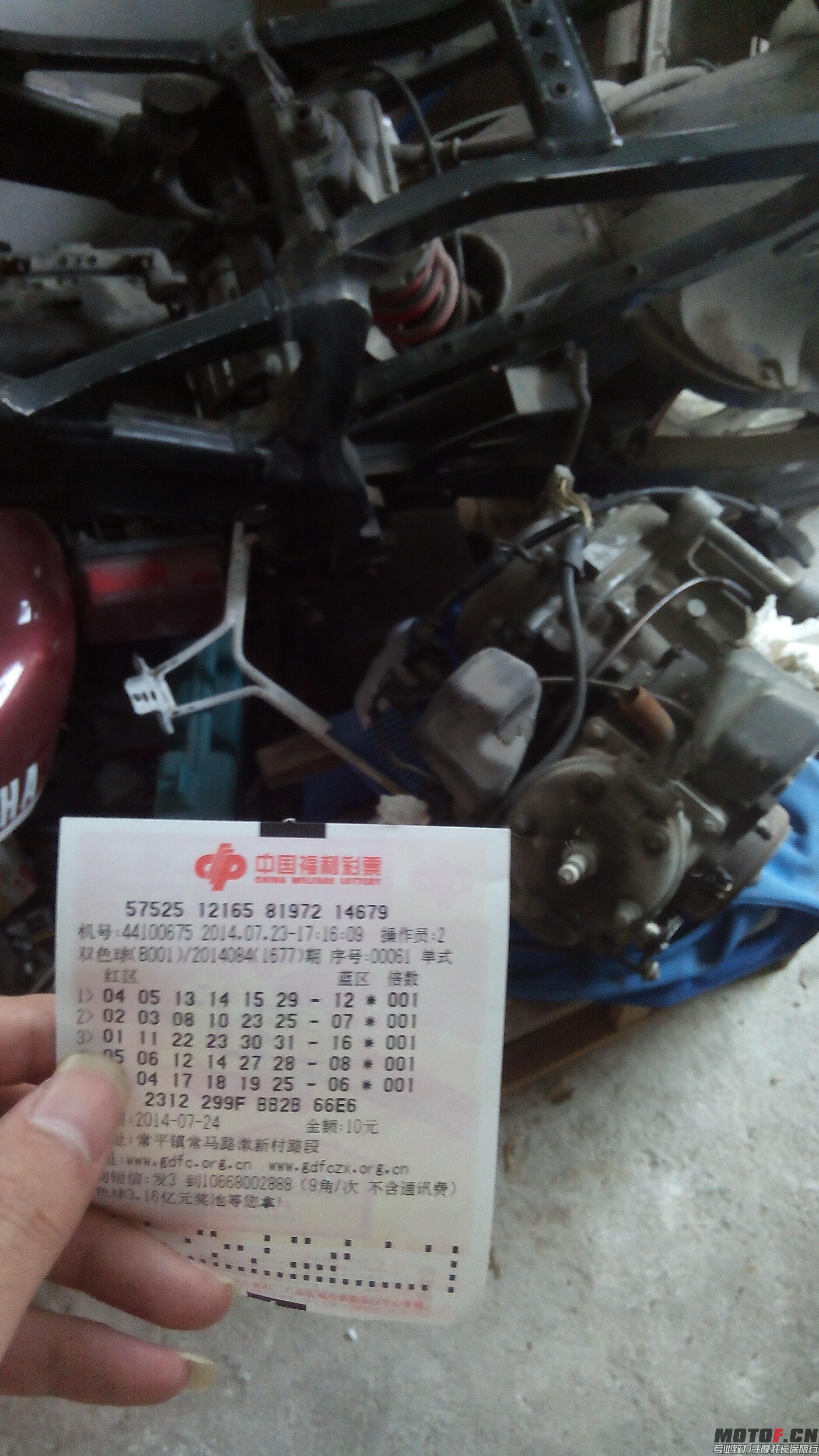 QQ图片20140723173952.jpg