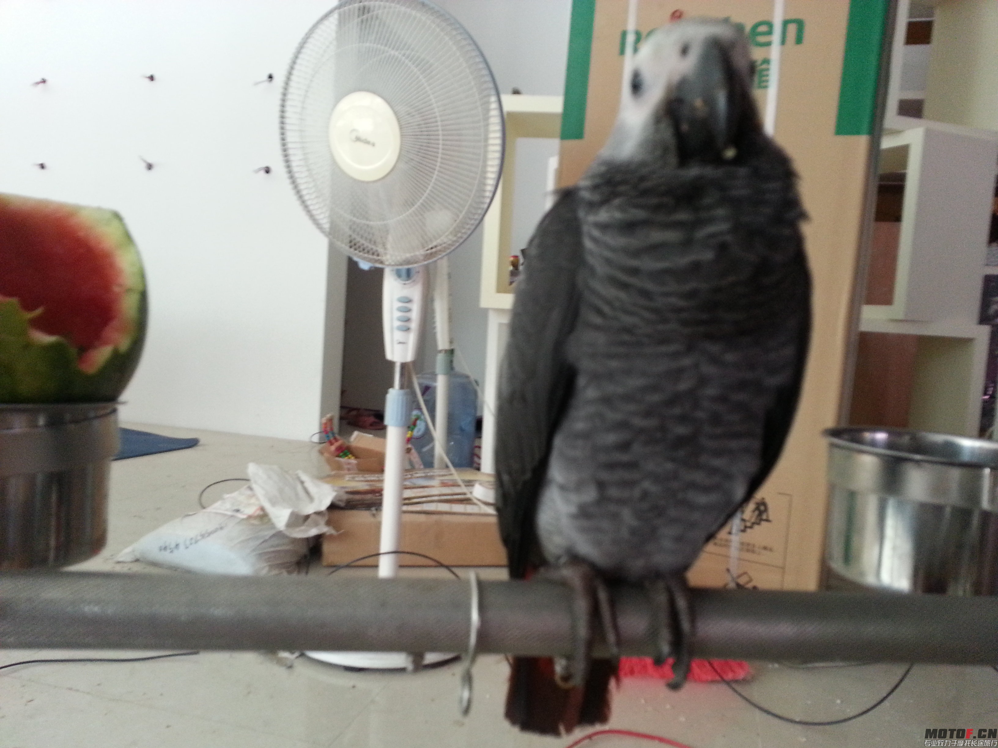 20140721_153755.jpg