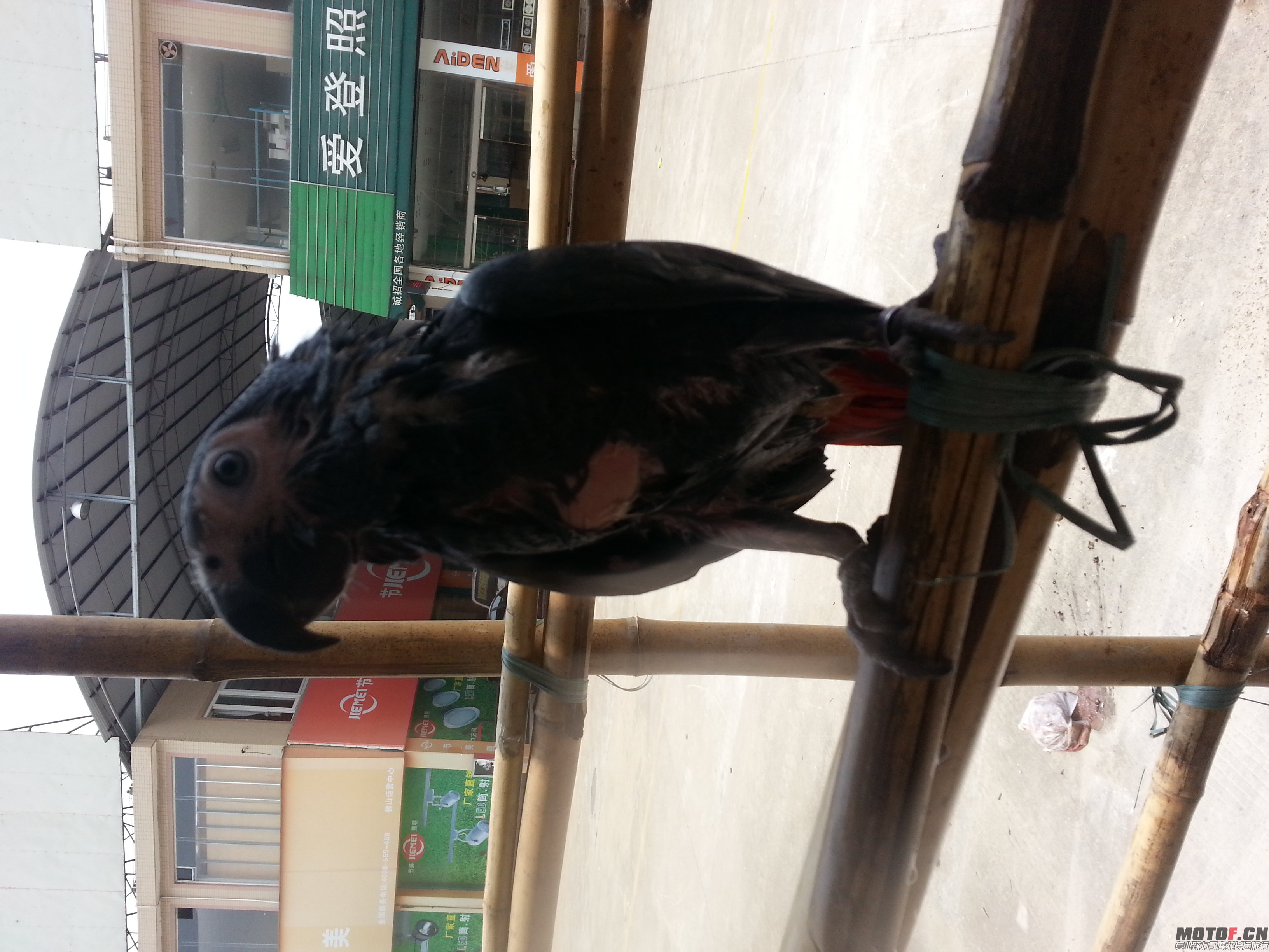 20140724_122433.jpg