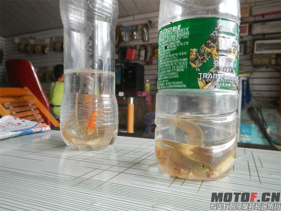 DSCN3948.jpg