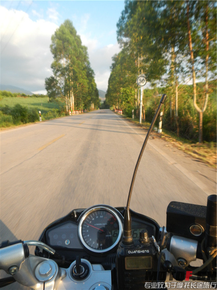 DSCN4132.jpg