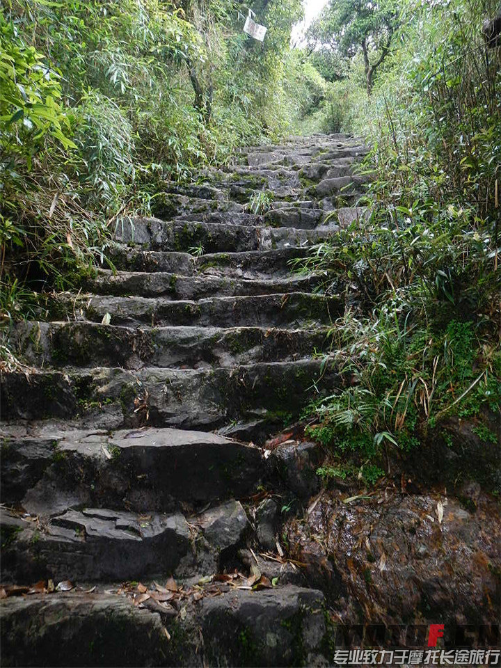 DSCN4250.jpg