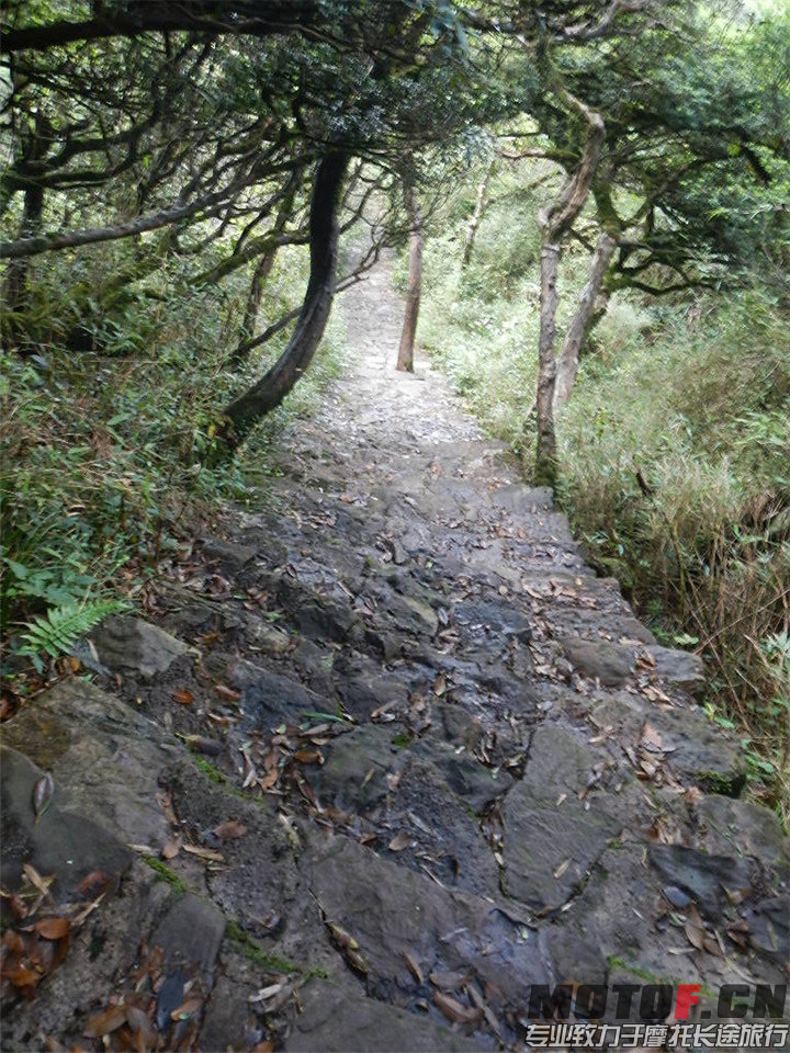 DSCN4251.jpg