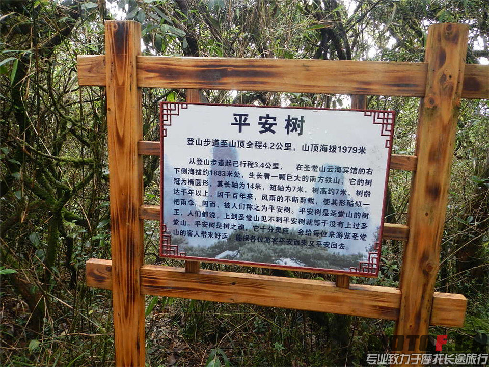 DSCN4254.jpg