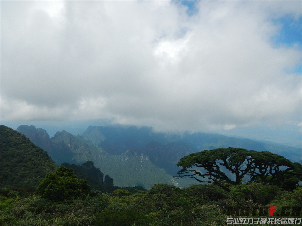 DSCN4256.jpg