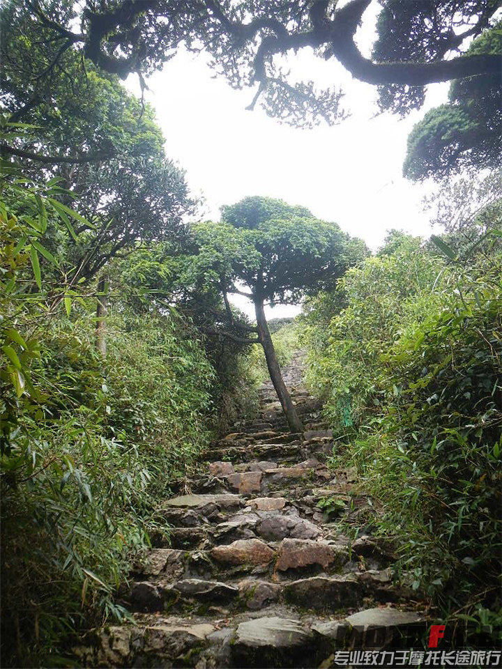 DSCN4263.jpg