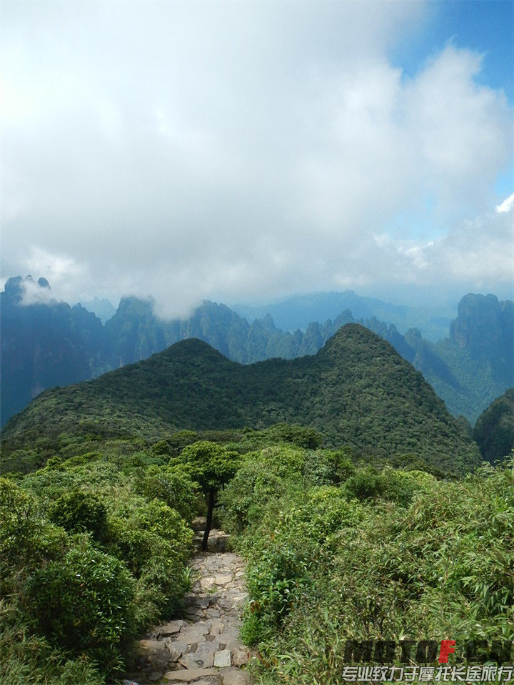 DSCN4265.jpg