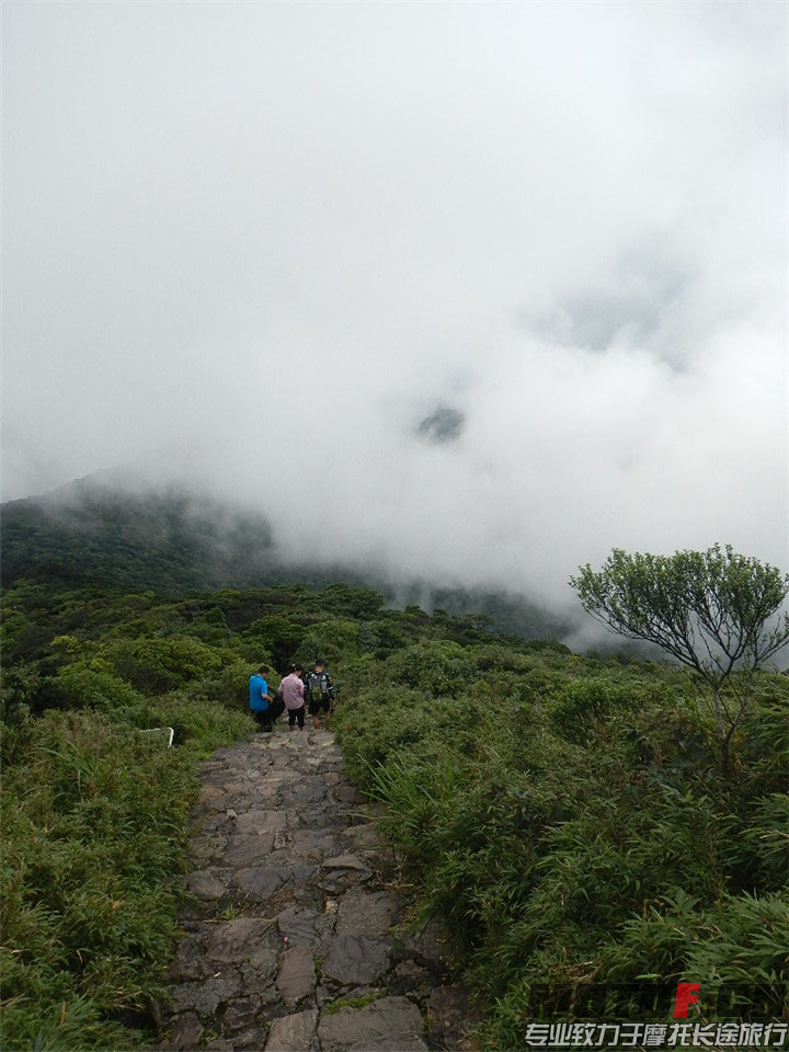 DSCN4283.jpg