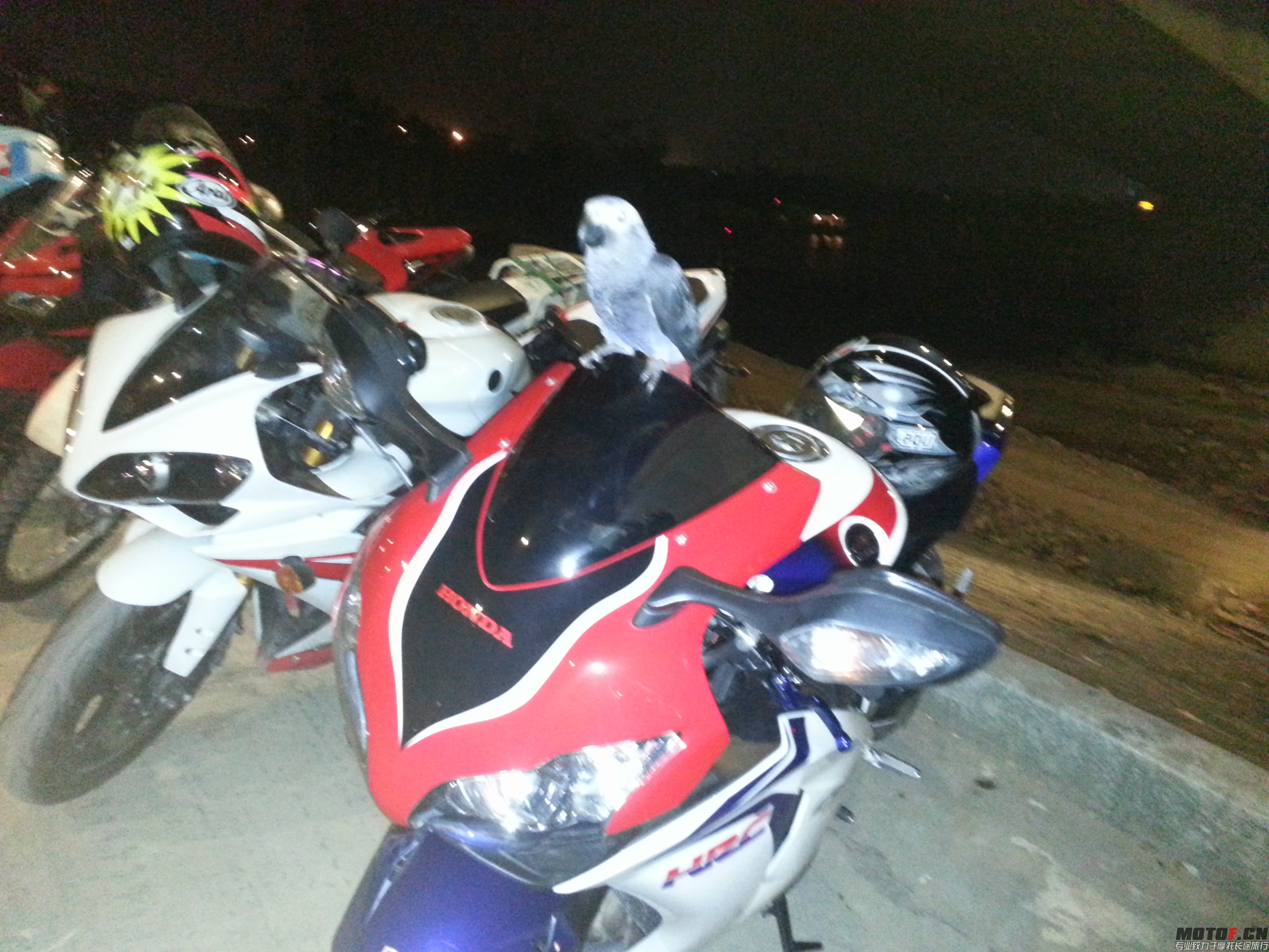 20140729_230557.jpg