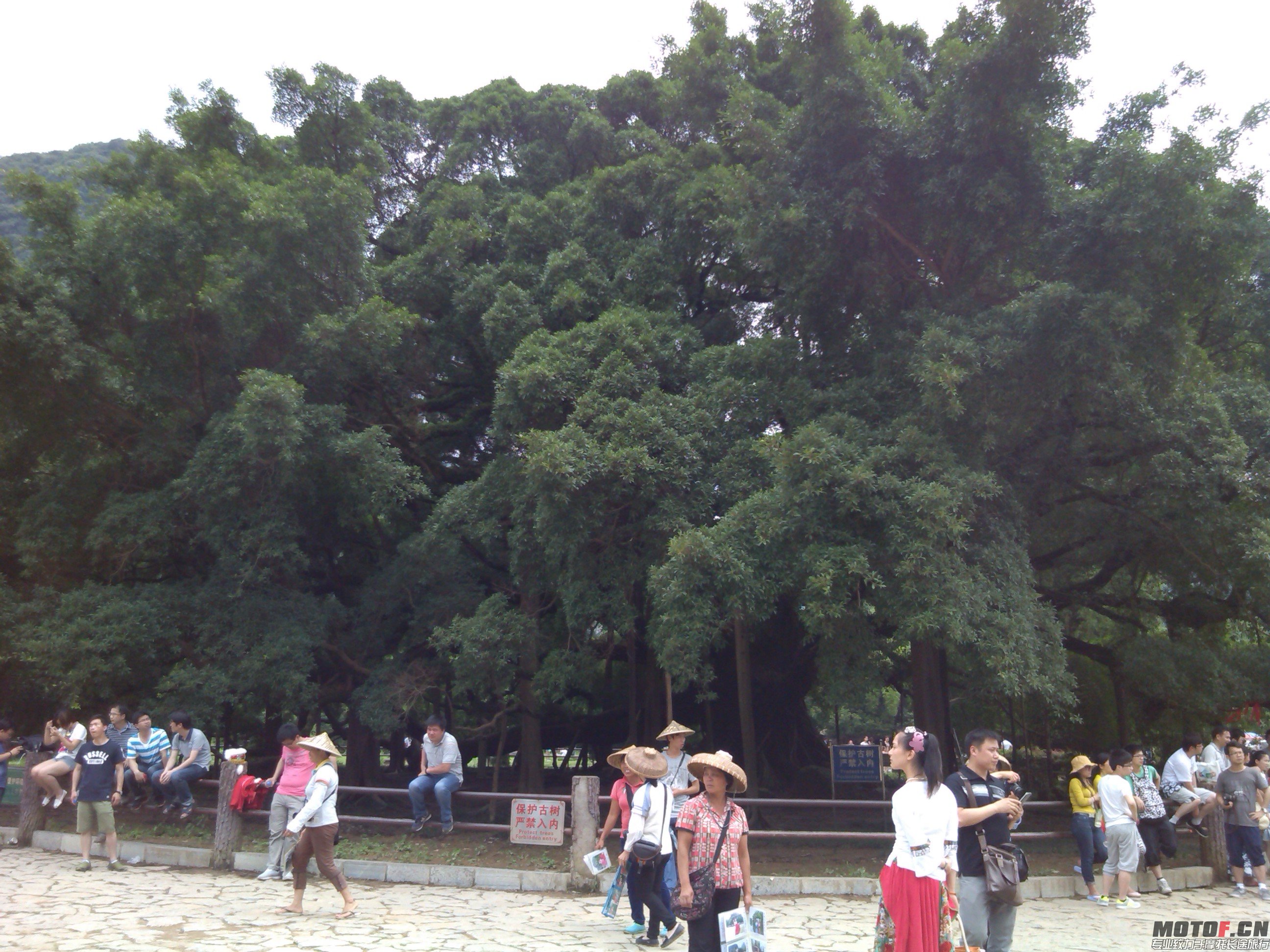 IMG_20140606_143803.jpg
