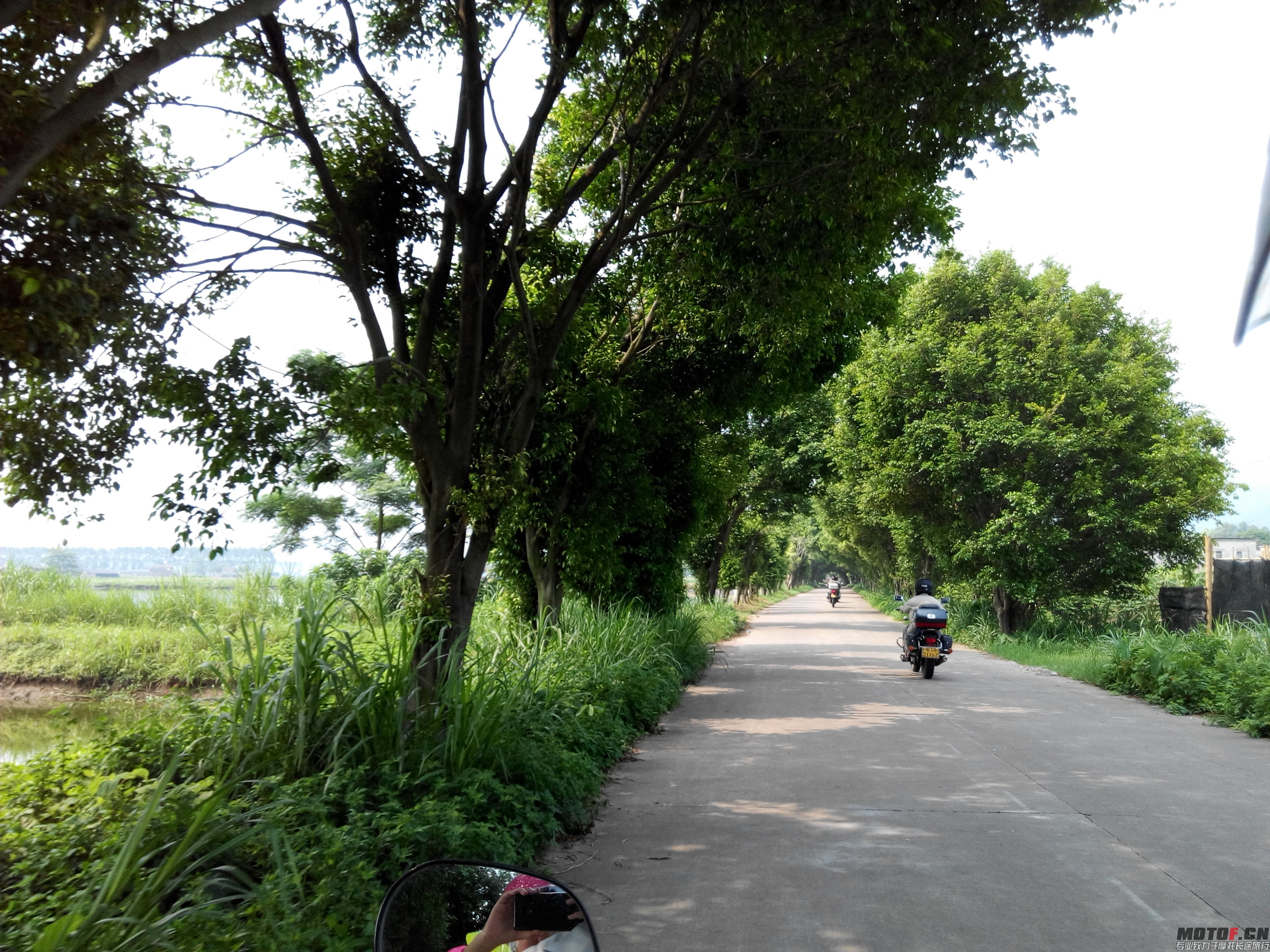 IMG_20140803_101237.jpg