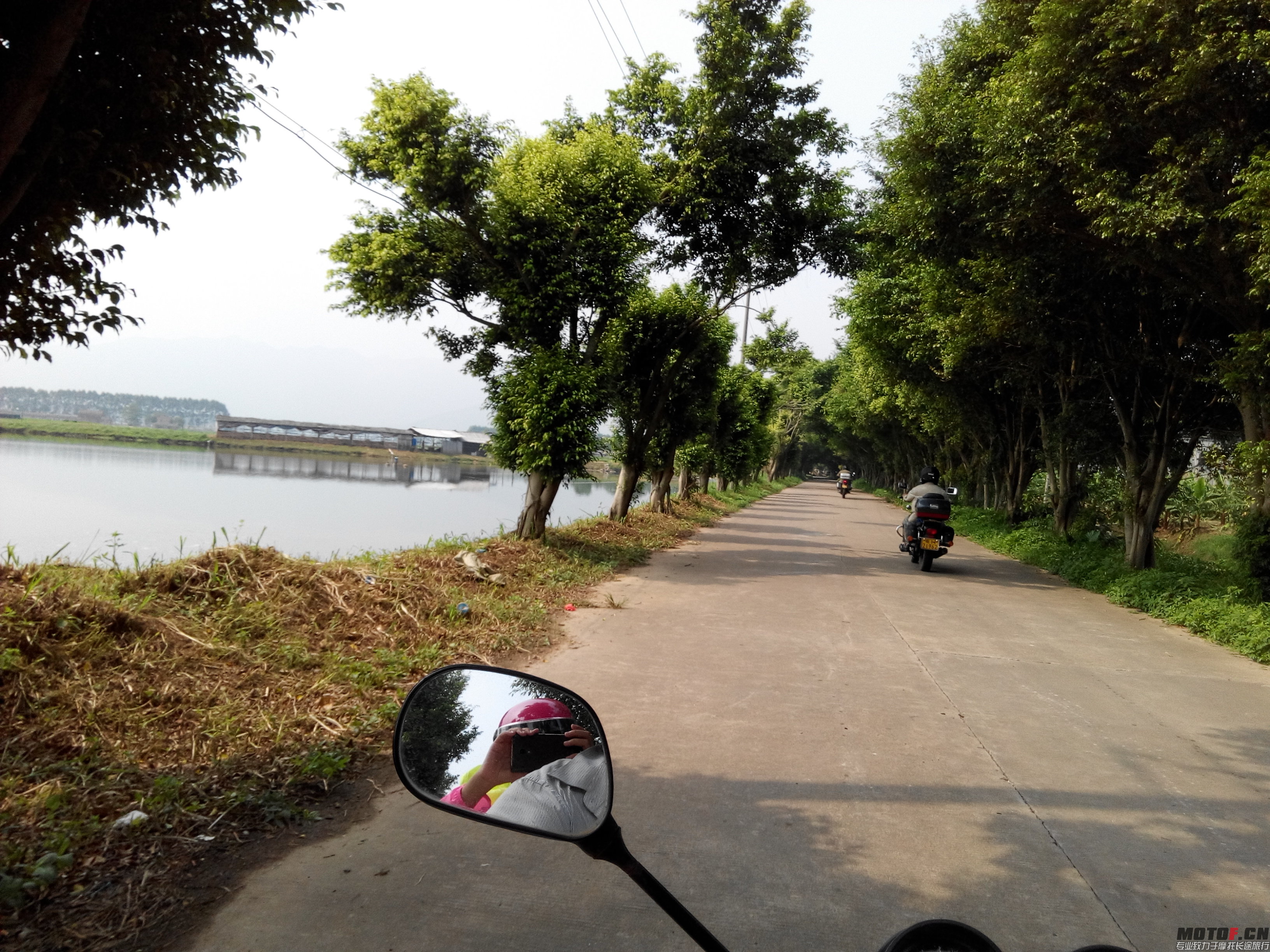 IMG_20140803_101239.jpg