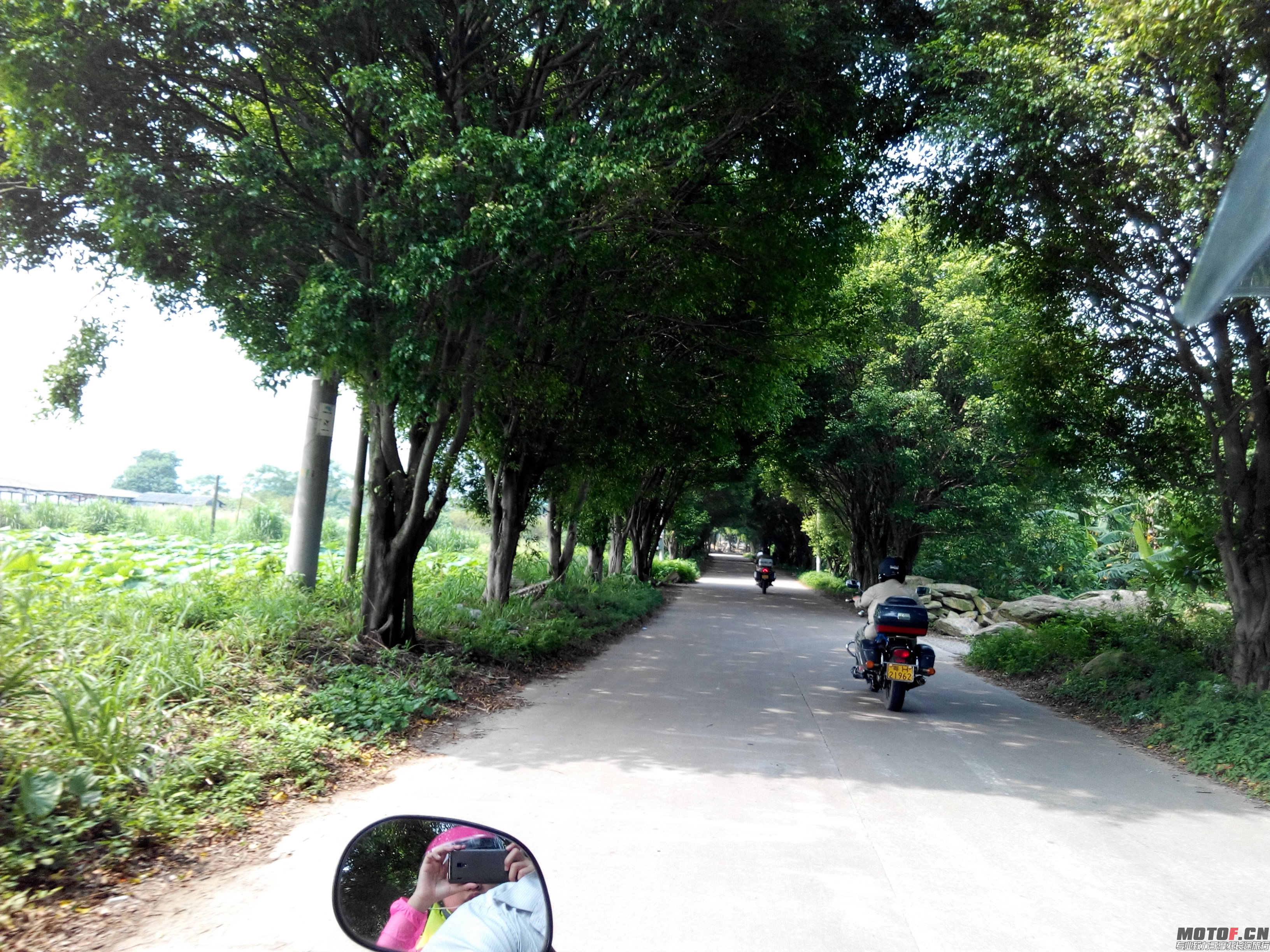 IMG_20140803_101251.jpg