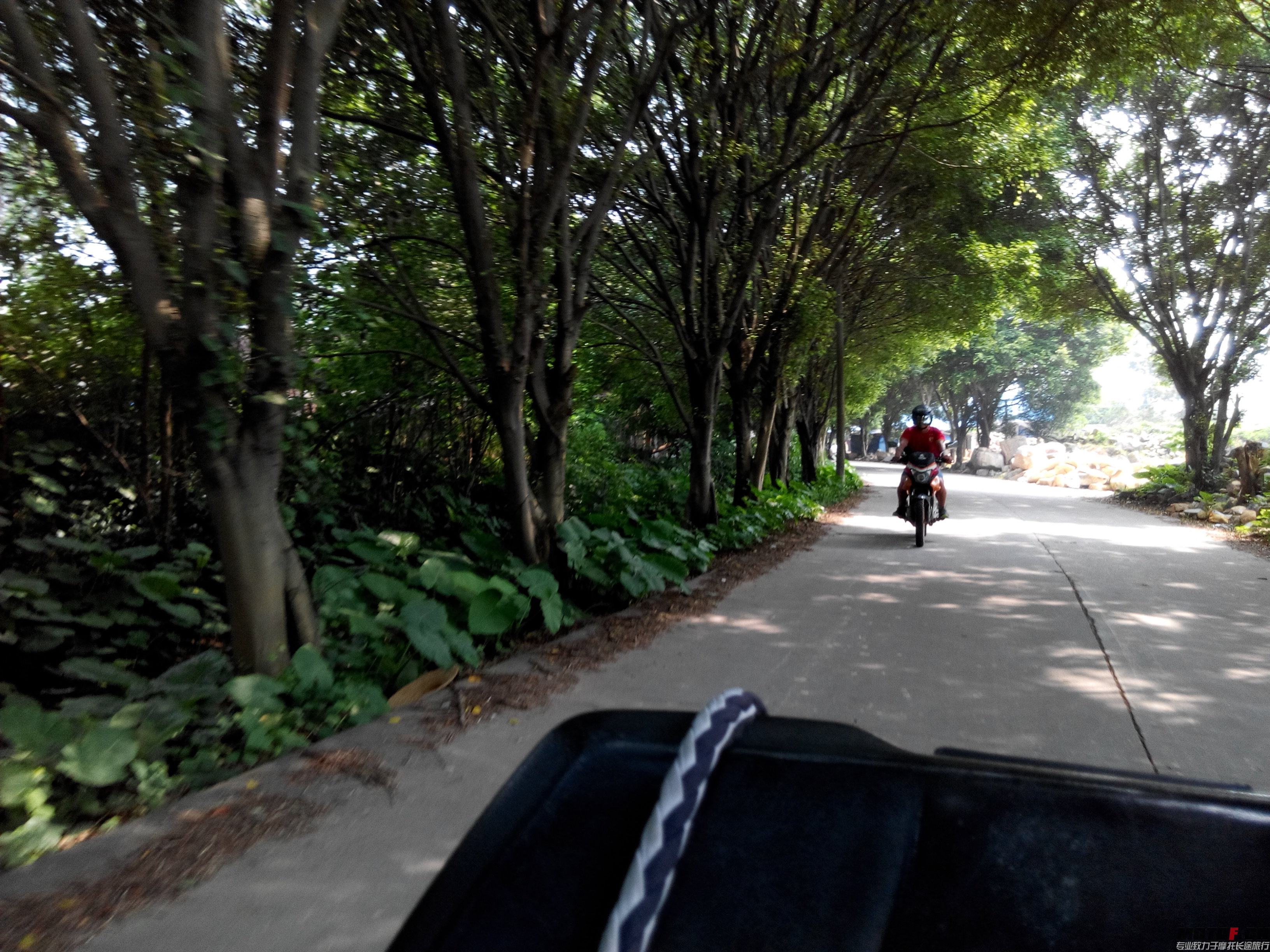 IMG_20140803_101314.jpg