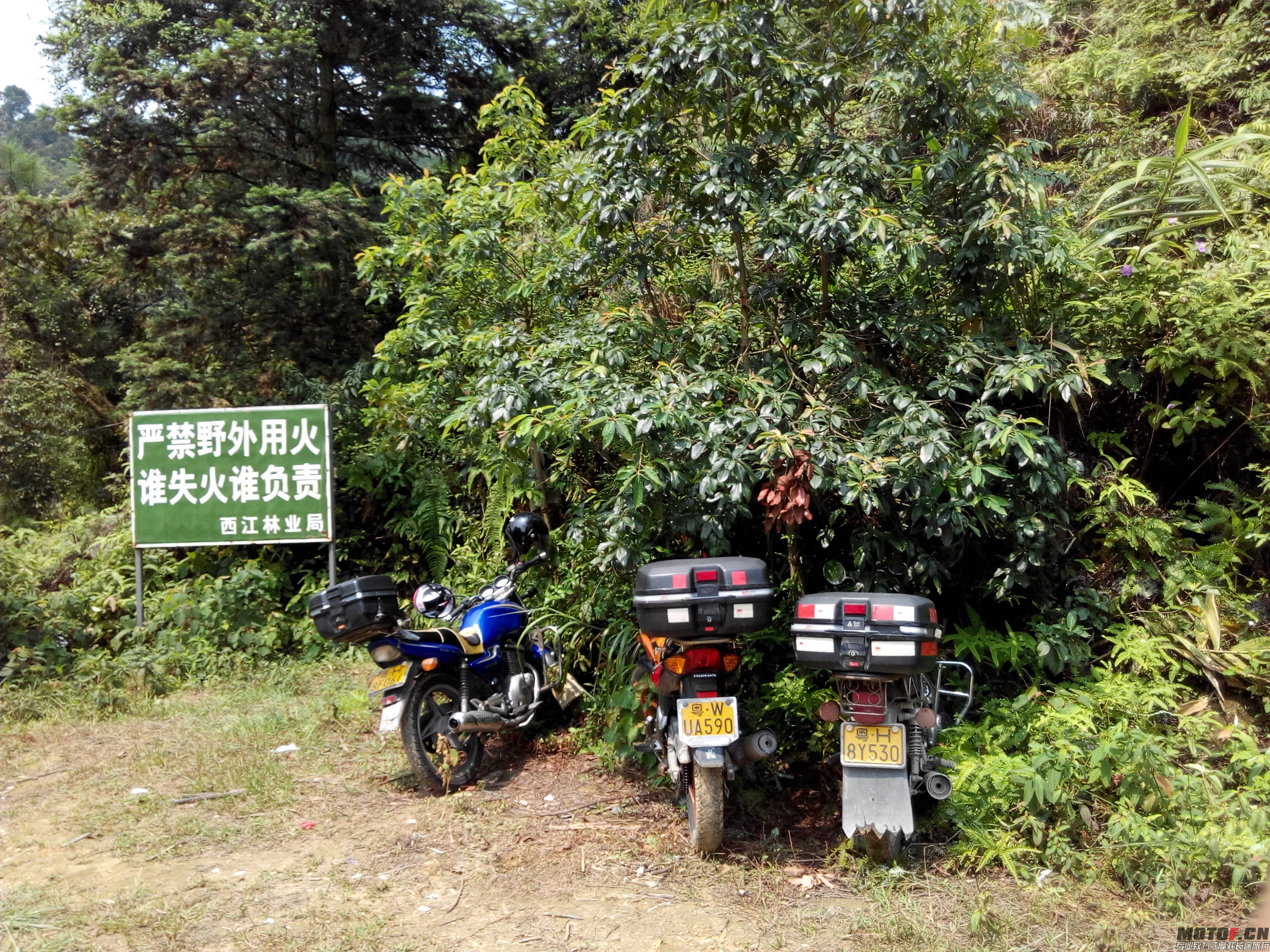 IMG_20140803_104745.jpg