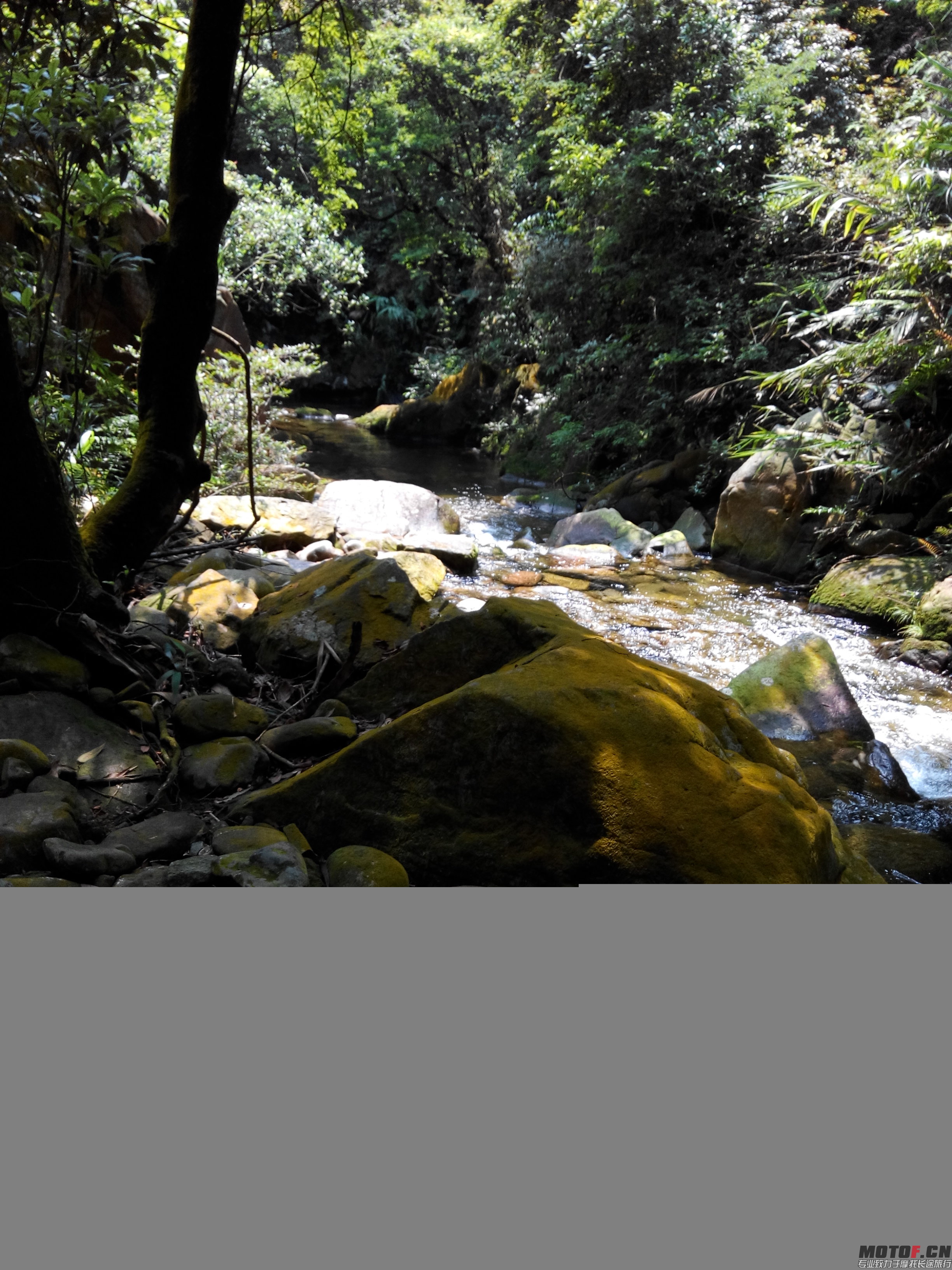 IMG_20140803_111857.jpg