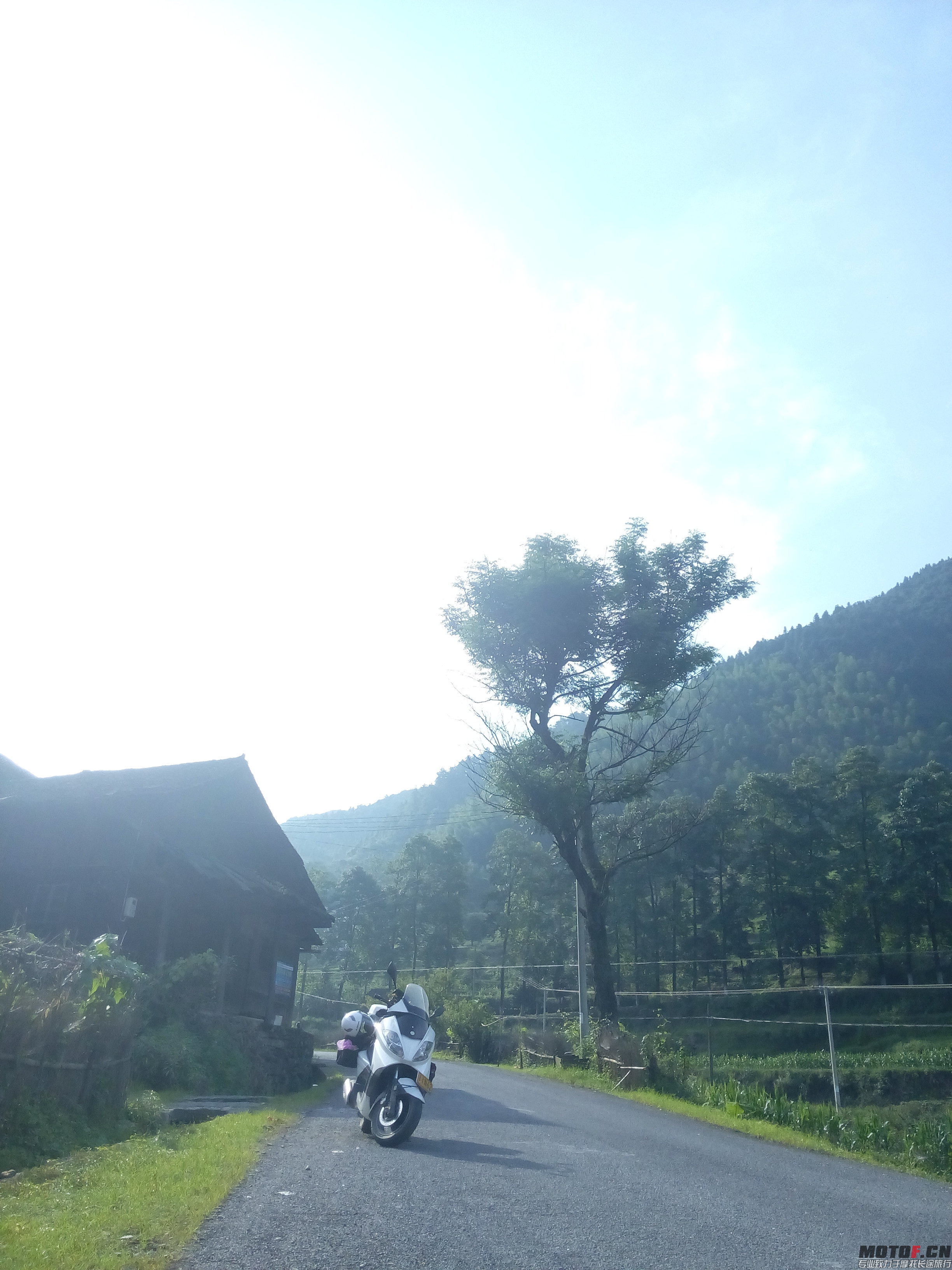 IMG_20140723_165040.jpg