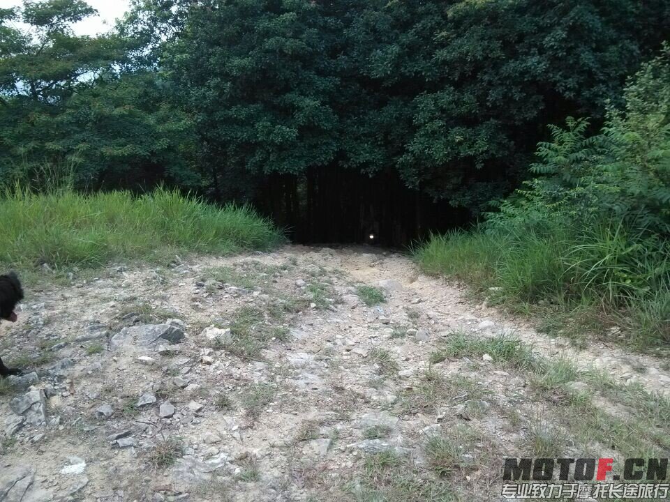 QQ图片20140807012838.jpg