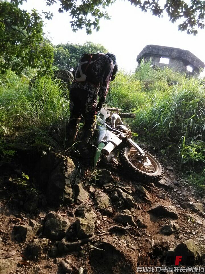 QQ图片20140807012917.jpg