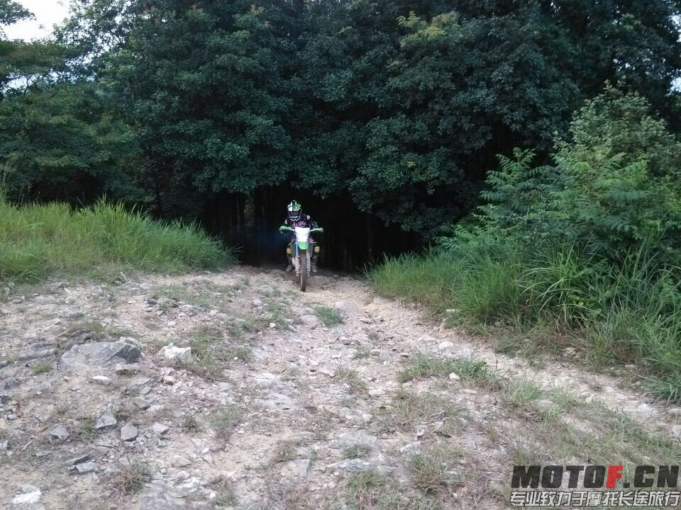 QQ图片20140807012949.jpg