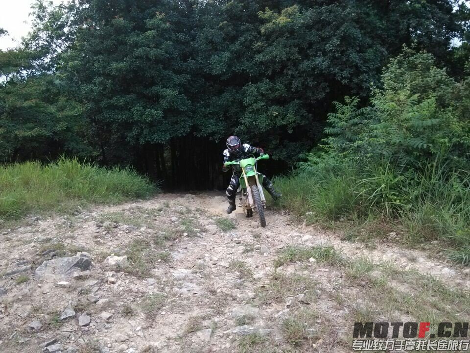QQ图片20140807013004.jpg