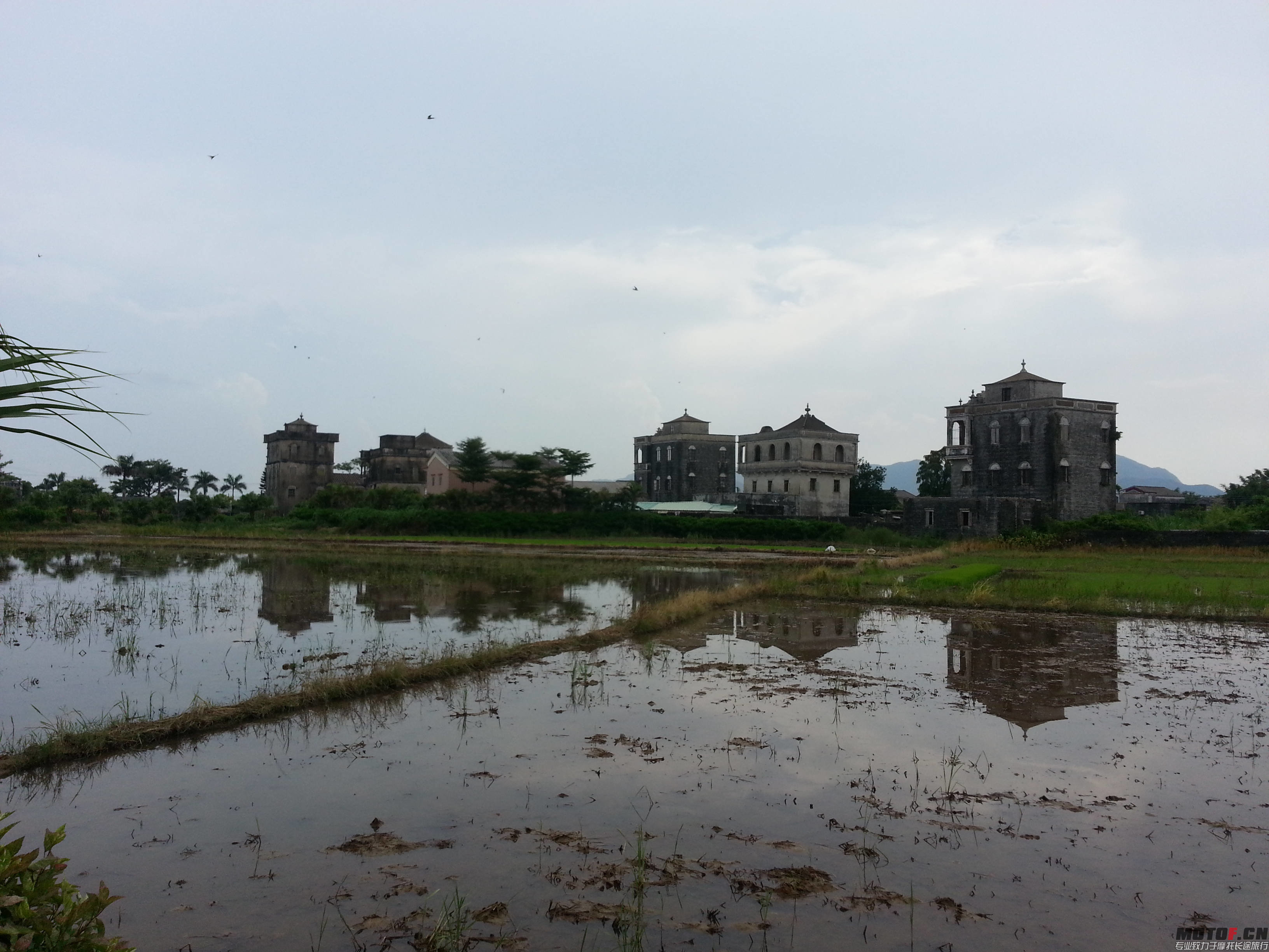 20140803_151722.jpg