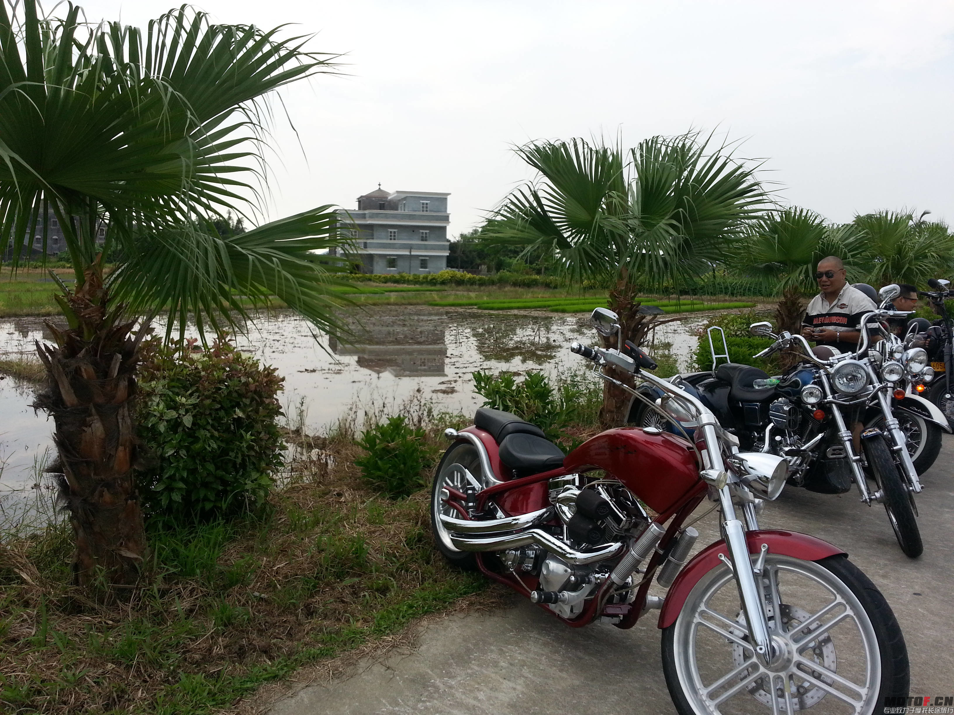20140803_152053.jpg