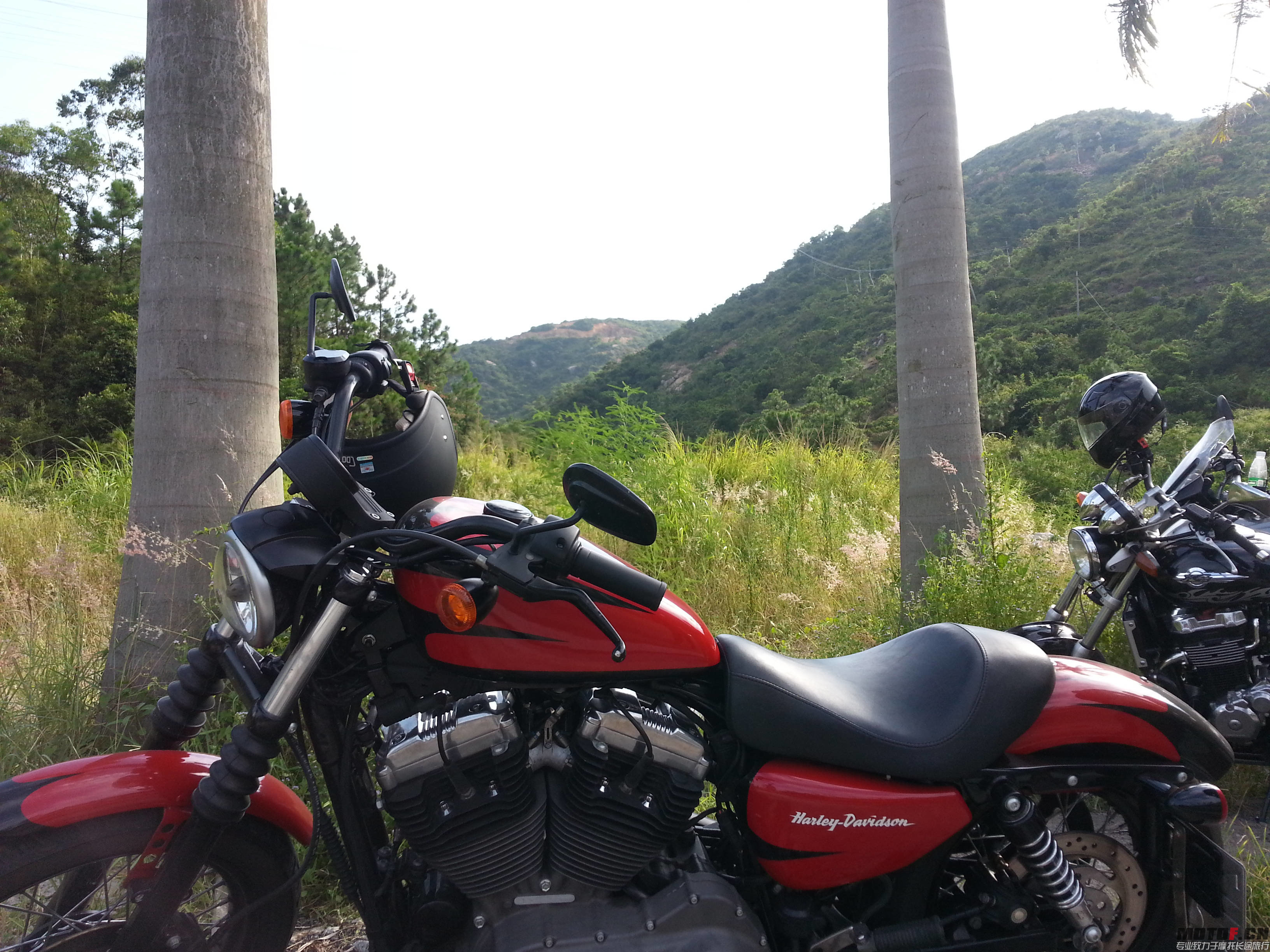 20140803_164759.jpg