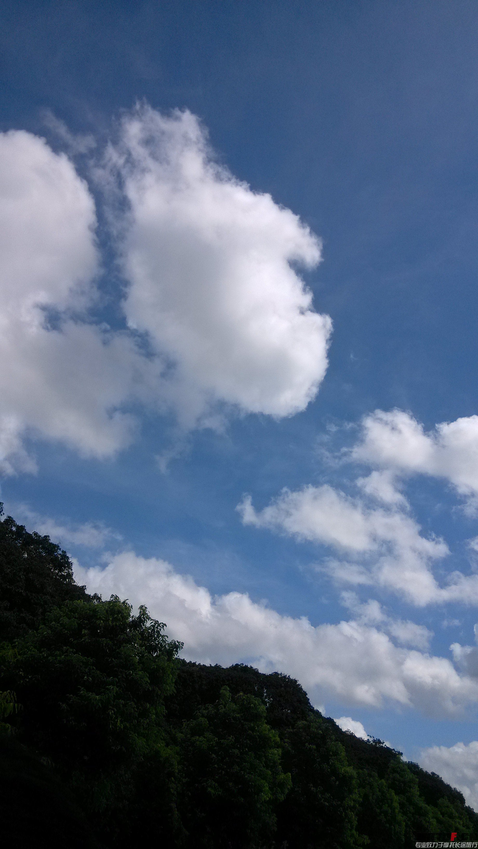 IMG_20140727_095518.jpg